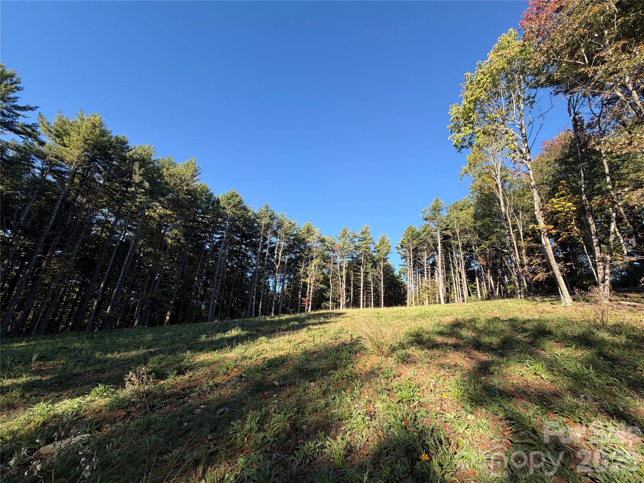243 Ridgeline Drive Property Photo 46