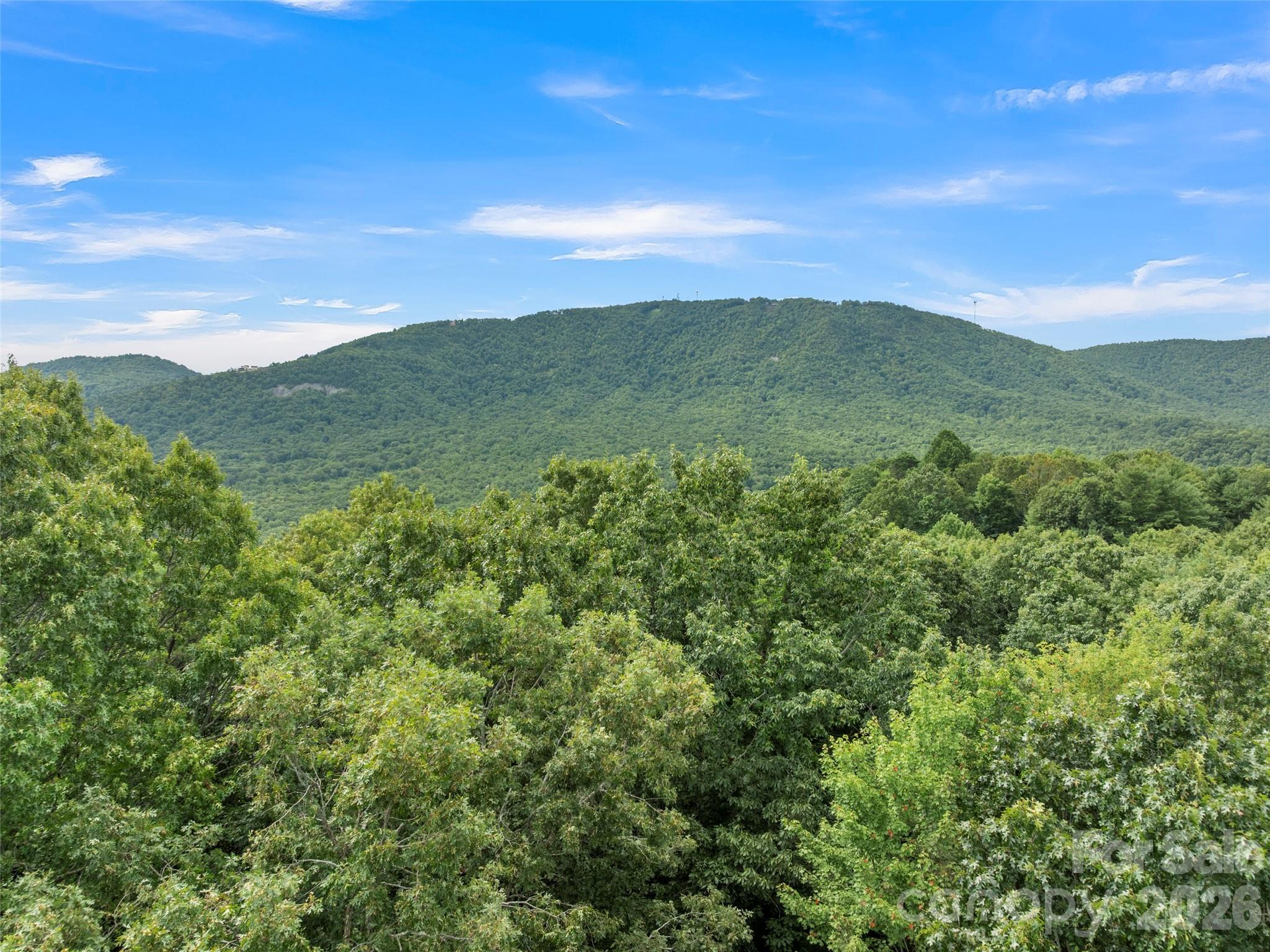 812 Crab Creek Road Property Photo 2