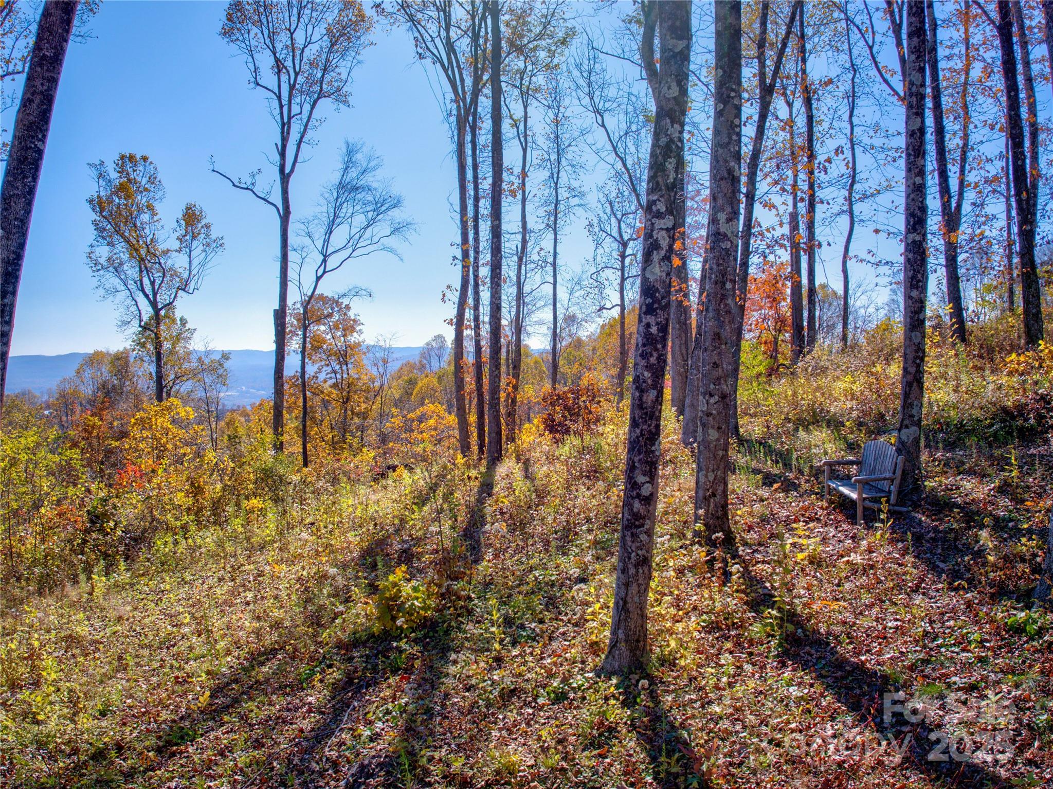 7 Laurel Ledge Way 13 Property Photo 12