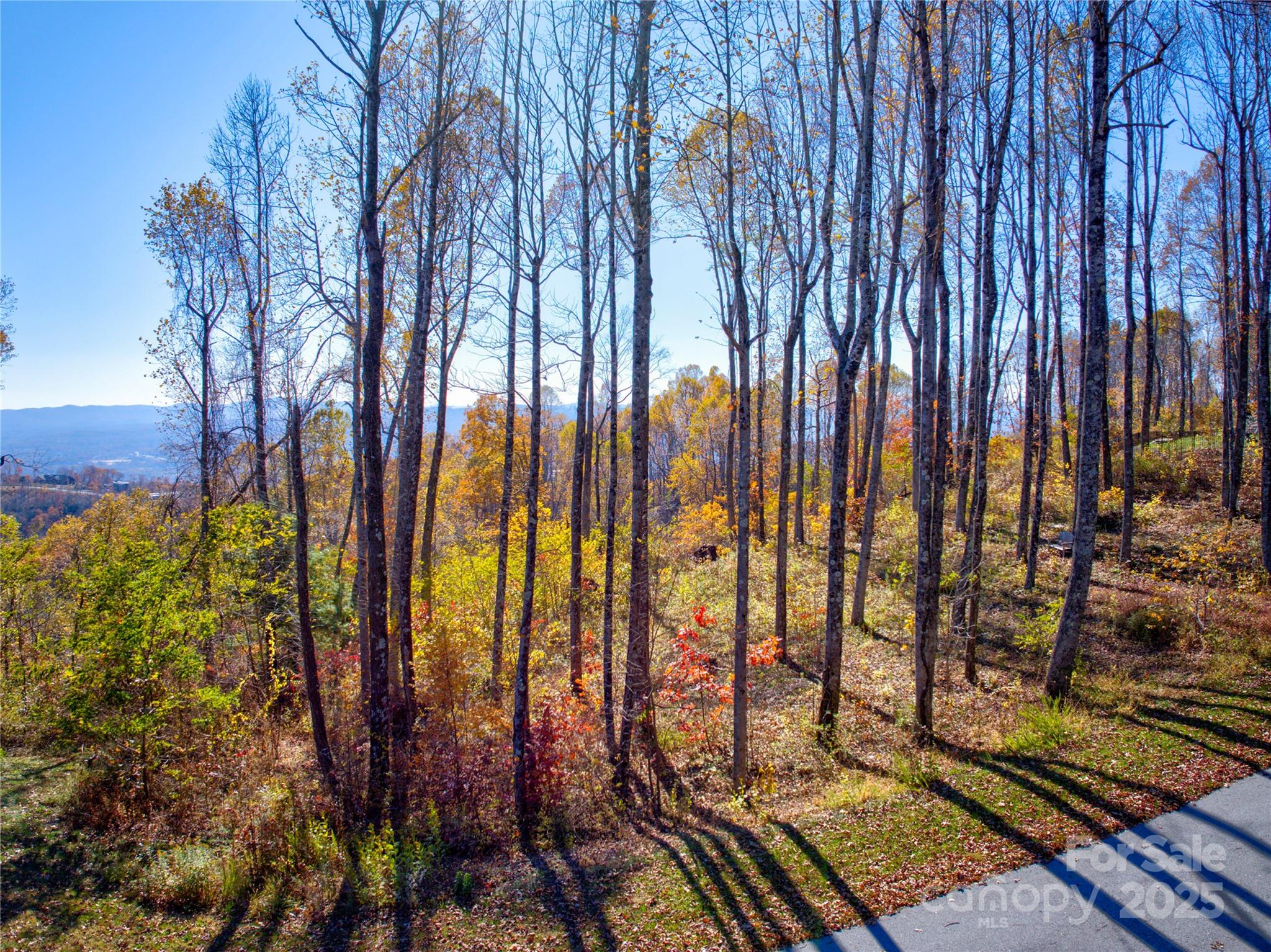 7 Laurel Ledge Way 13 Property Photo 17