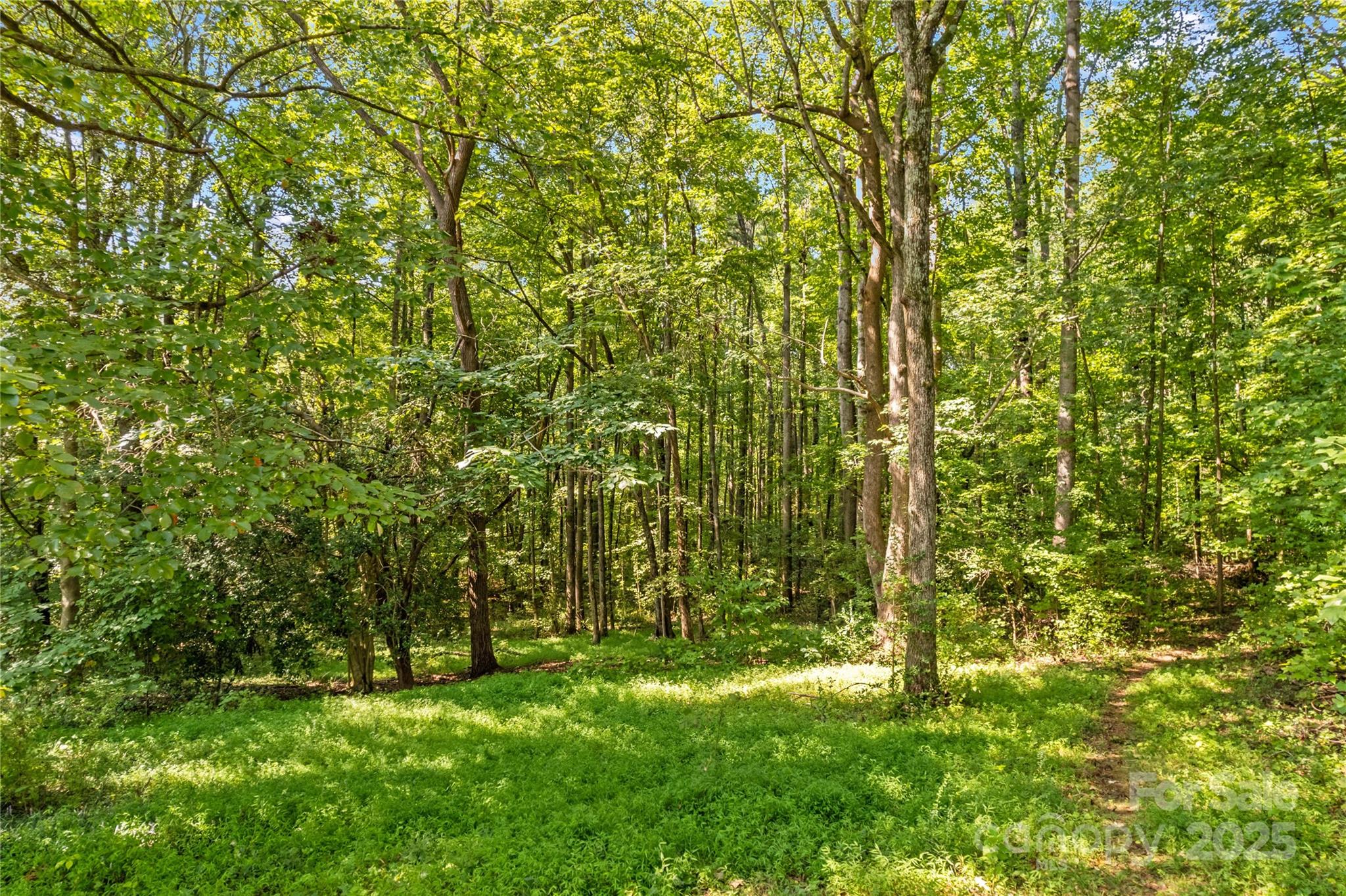 265 Rocky River Road Property Photo 22