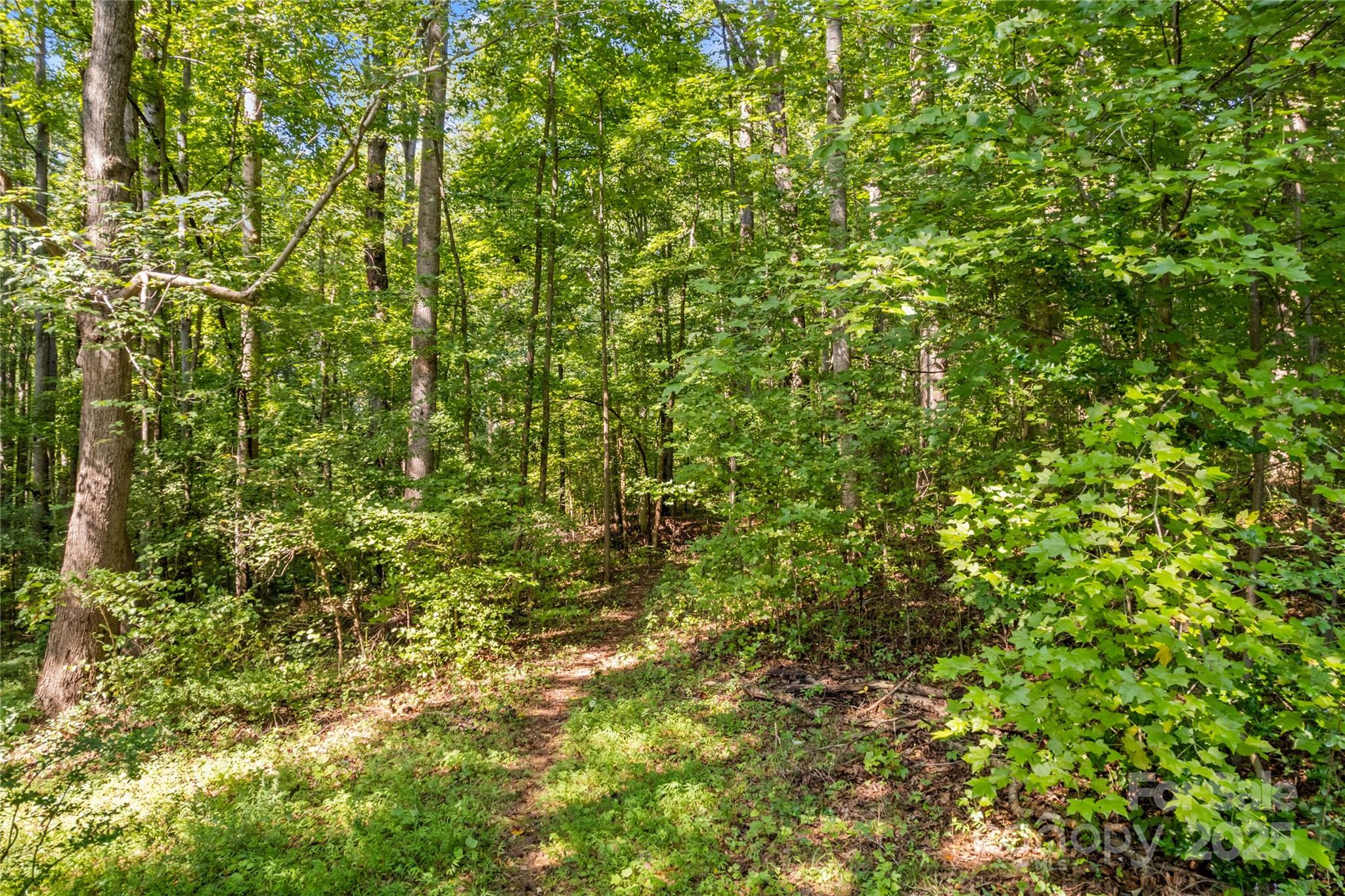 265 Rocky River Road Property Photo 23