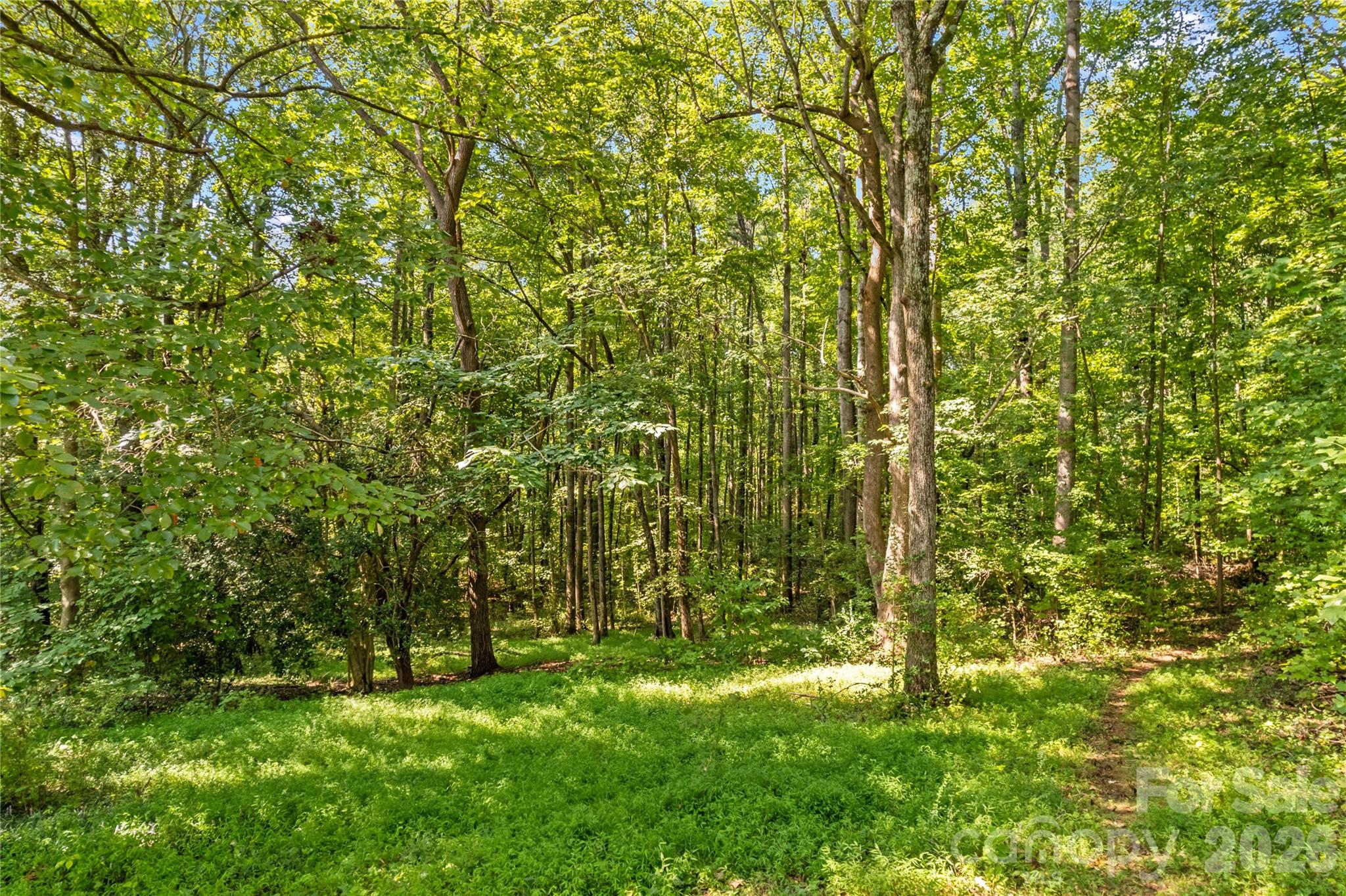 265 Rocky River Road Property Photo 23