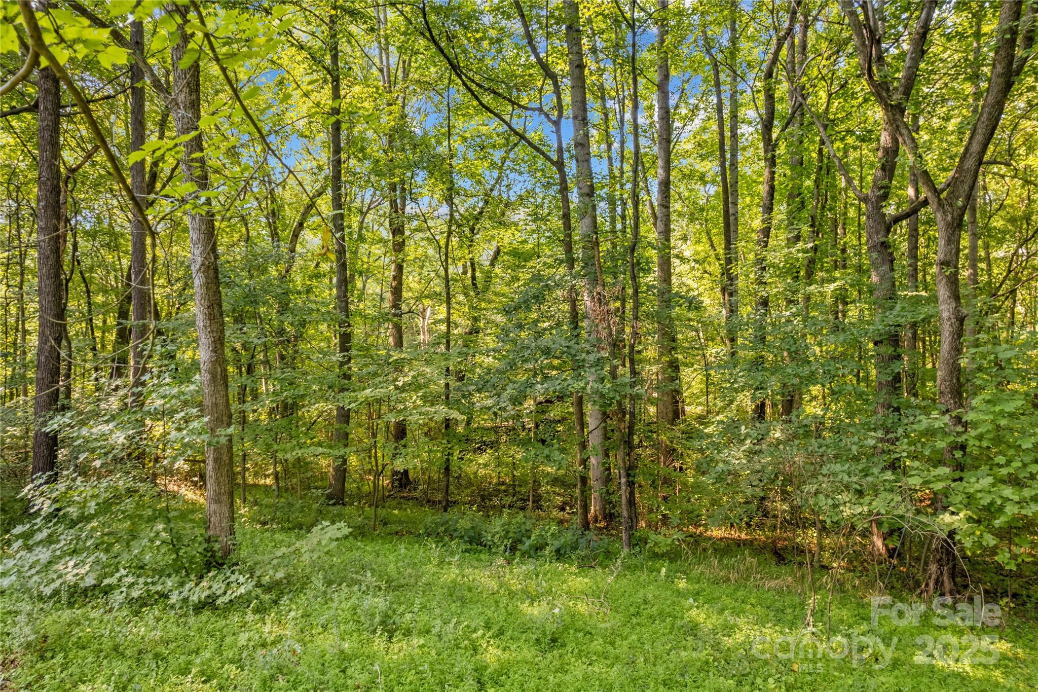 265 Rocky River Road Property Photo 24