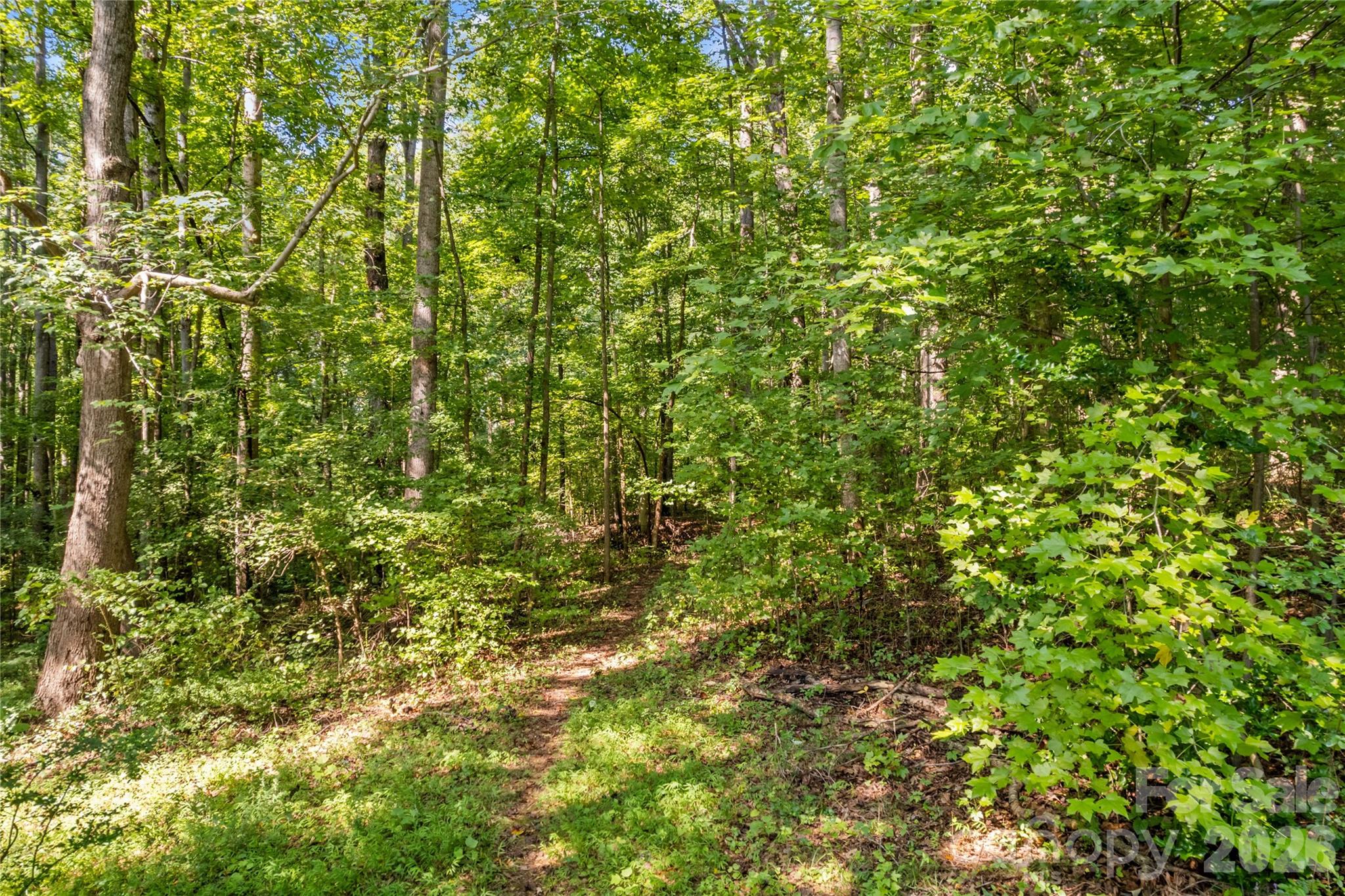 265 Rocky River Road Property Photo 24