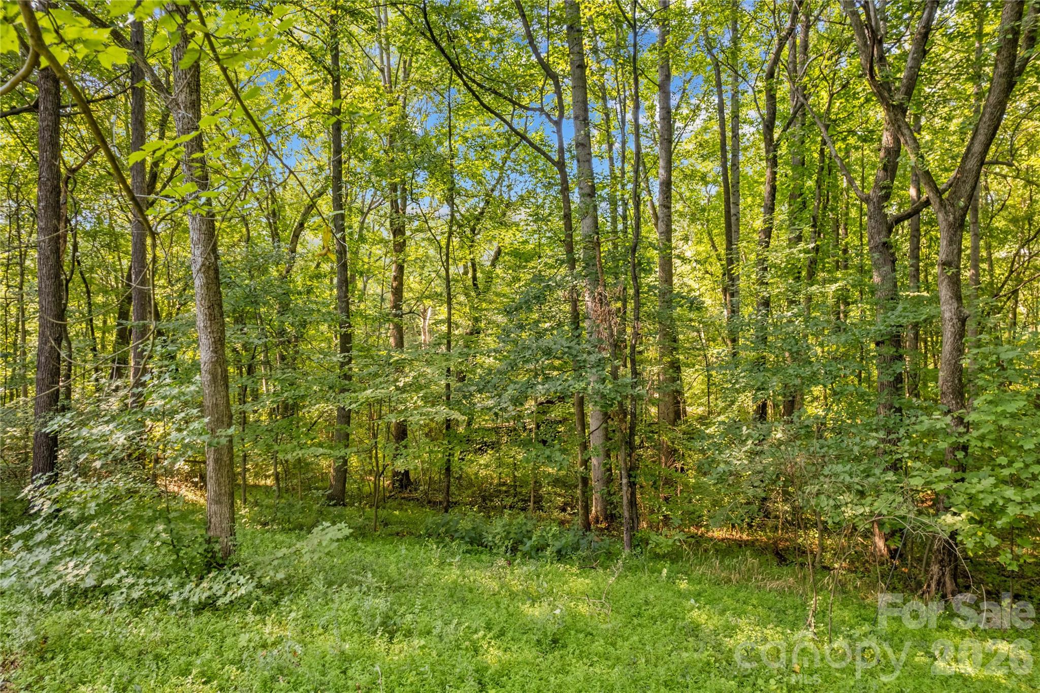 265 Rocky River Road Property Photo 25