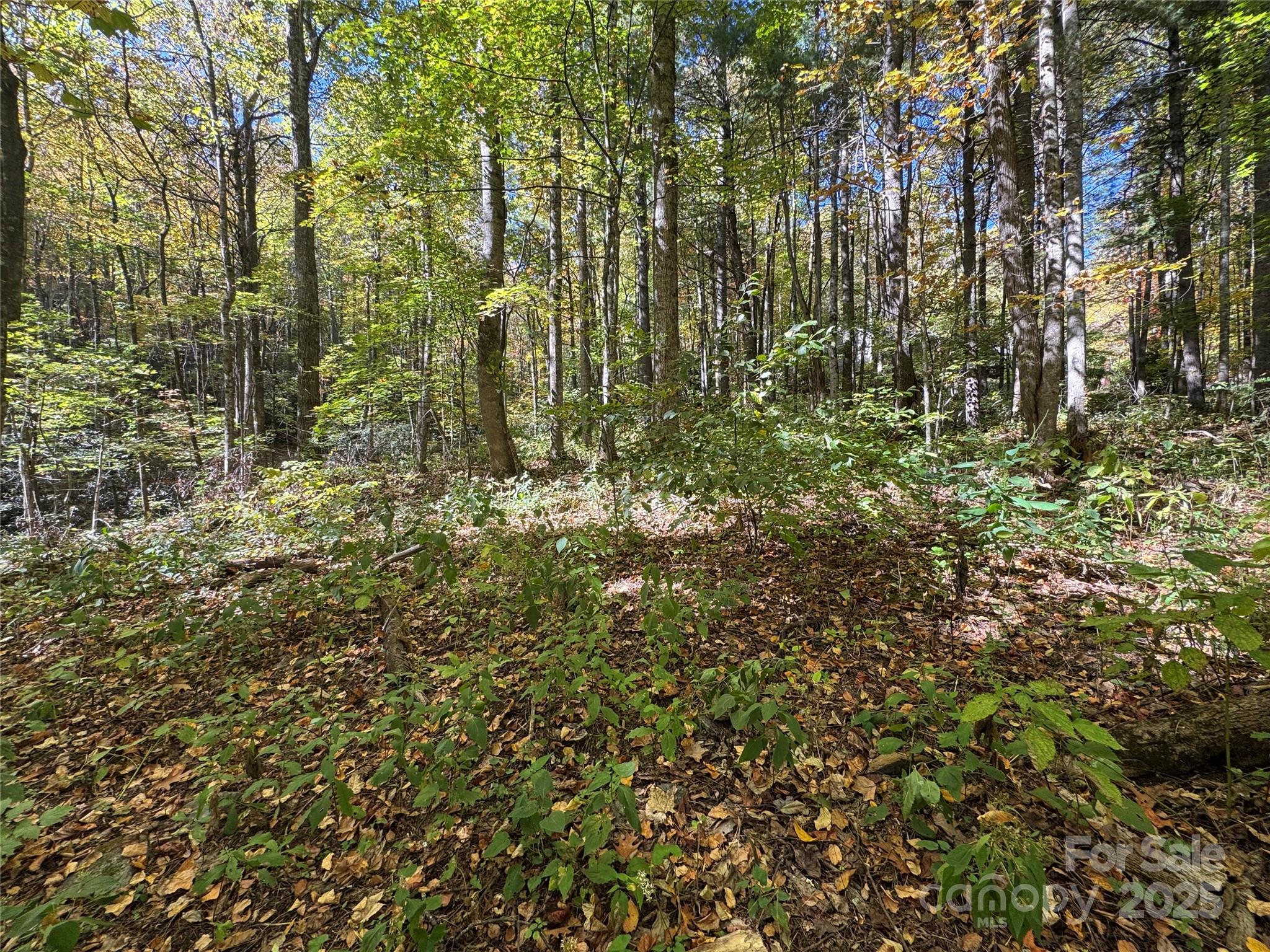12 Laurel Branch Drive Property Photo 7