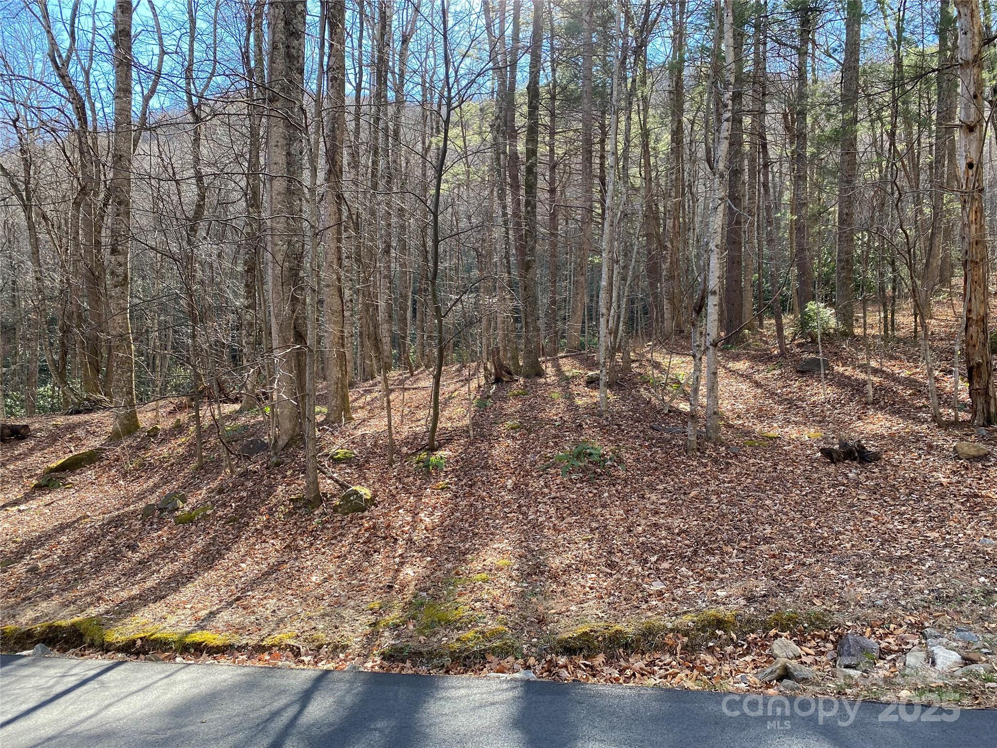 12 Laurel Branch Drive Property Photo 9