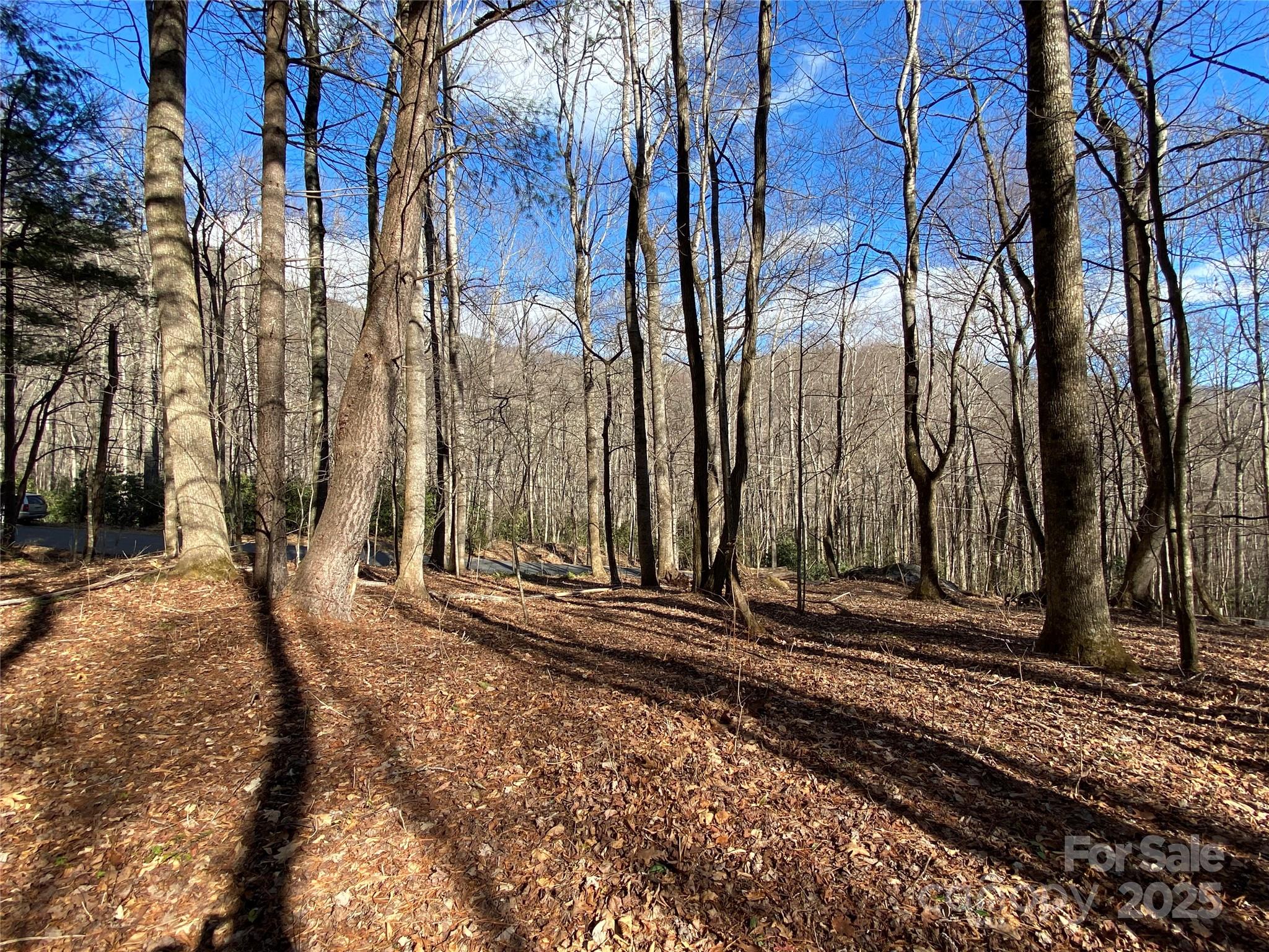 12 Laurel Branch Drive Property Photo 10