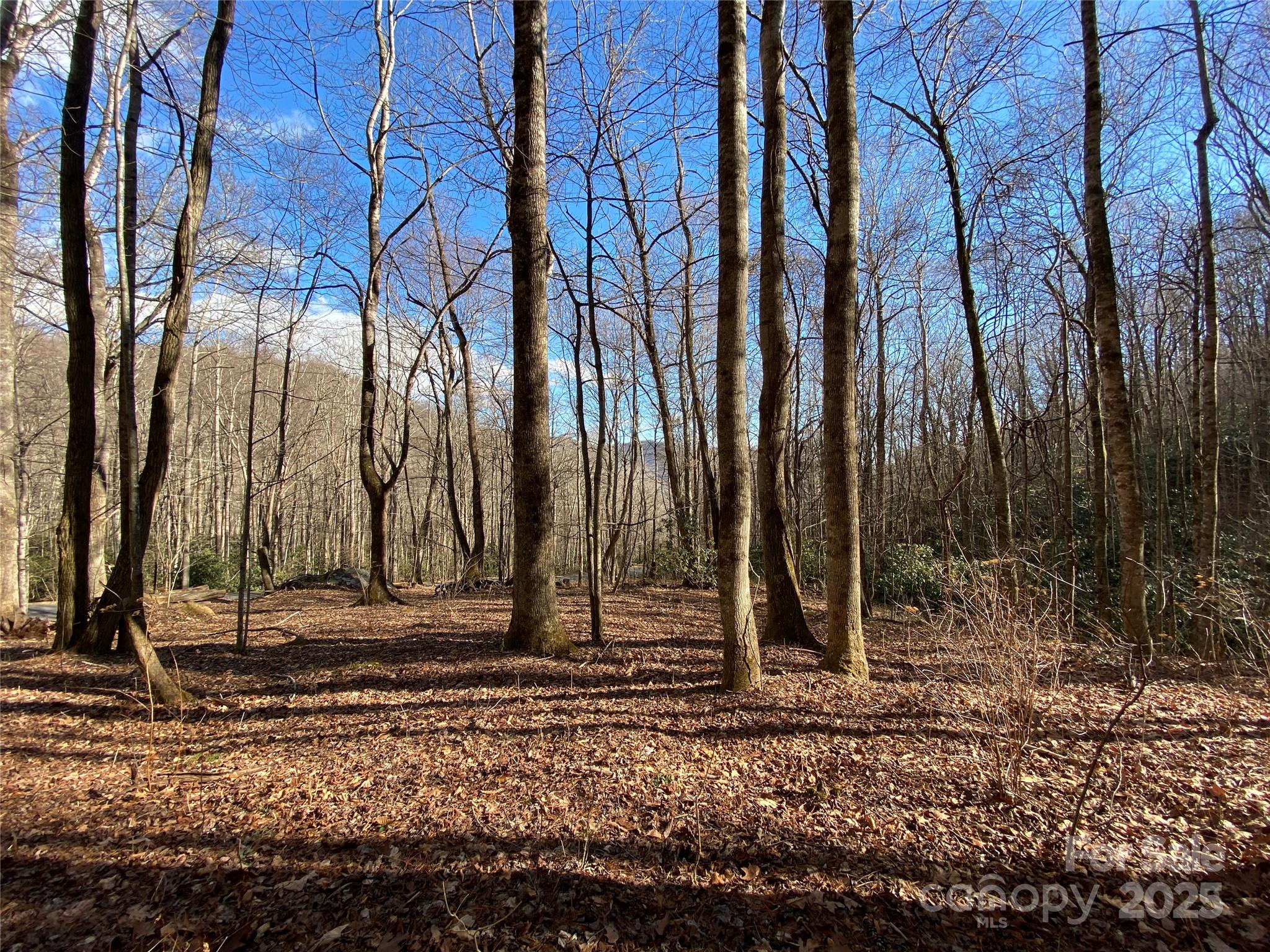 12 Laurel Branch Drive Property Photo 14