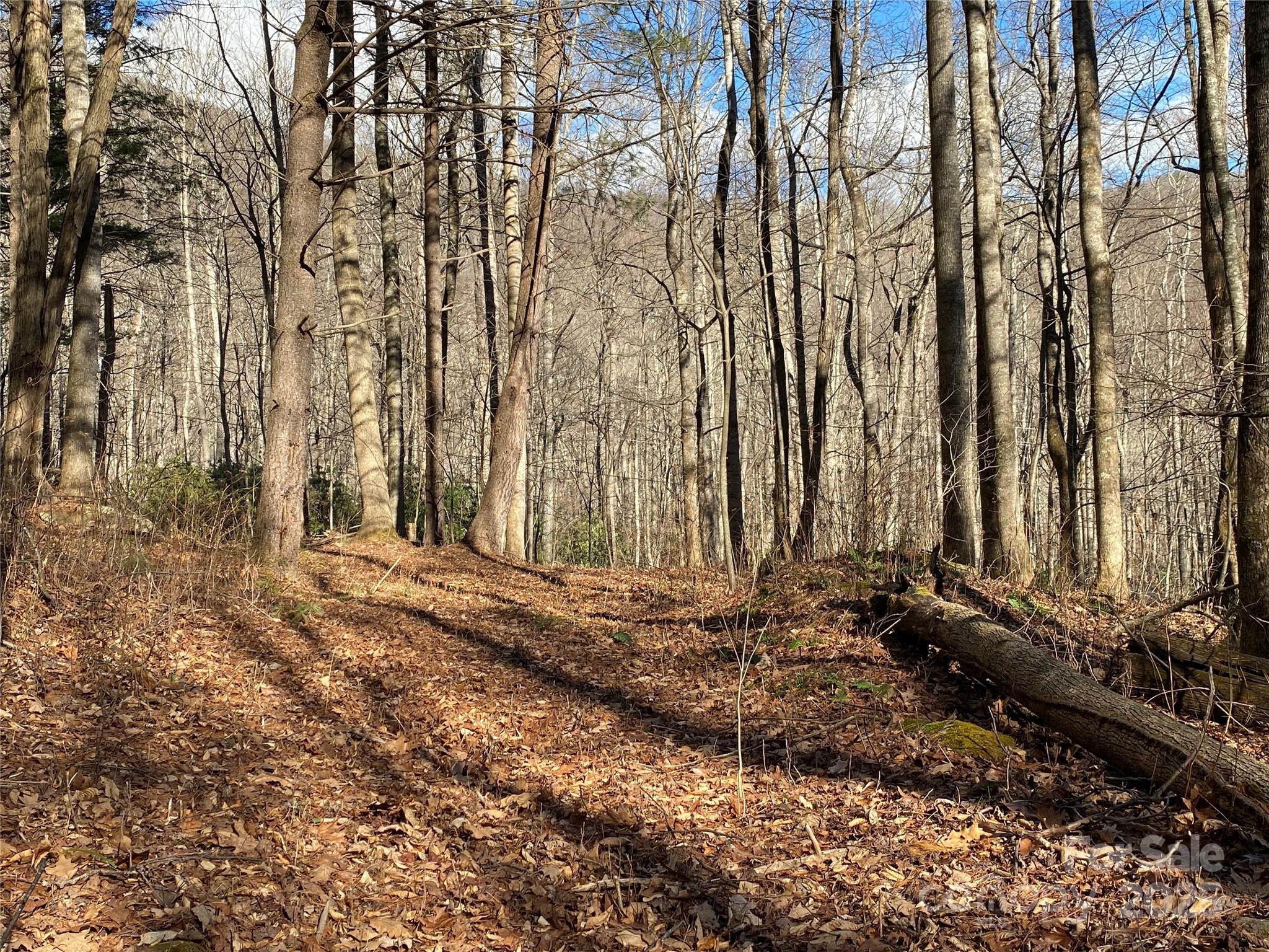 12 Laurel Branch Drive Property Photo 15