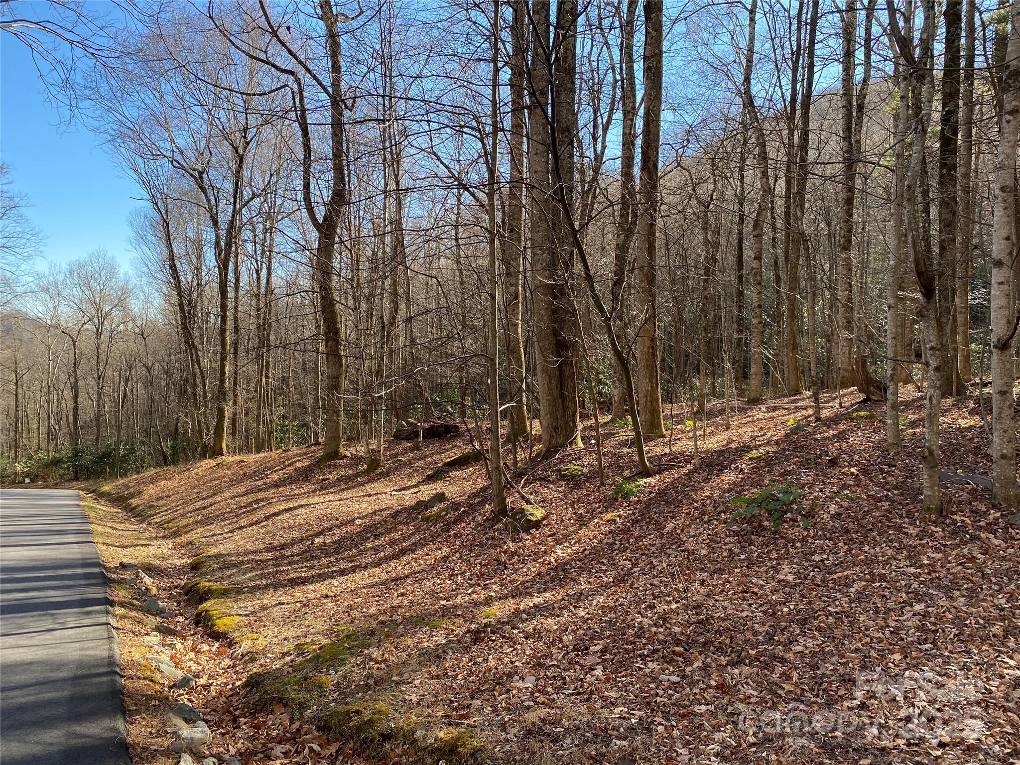 12 Laurel Branch Drive Property Photo 19