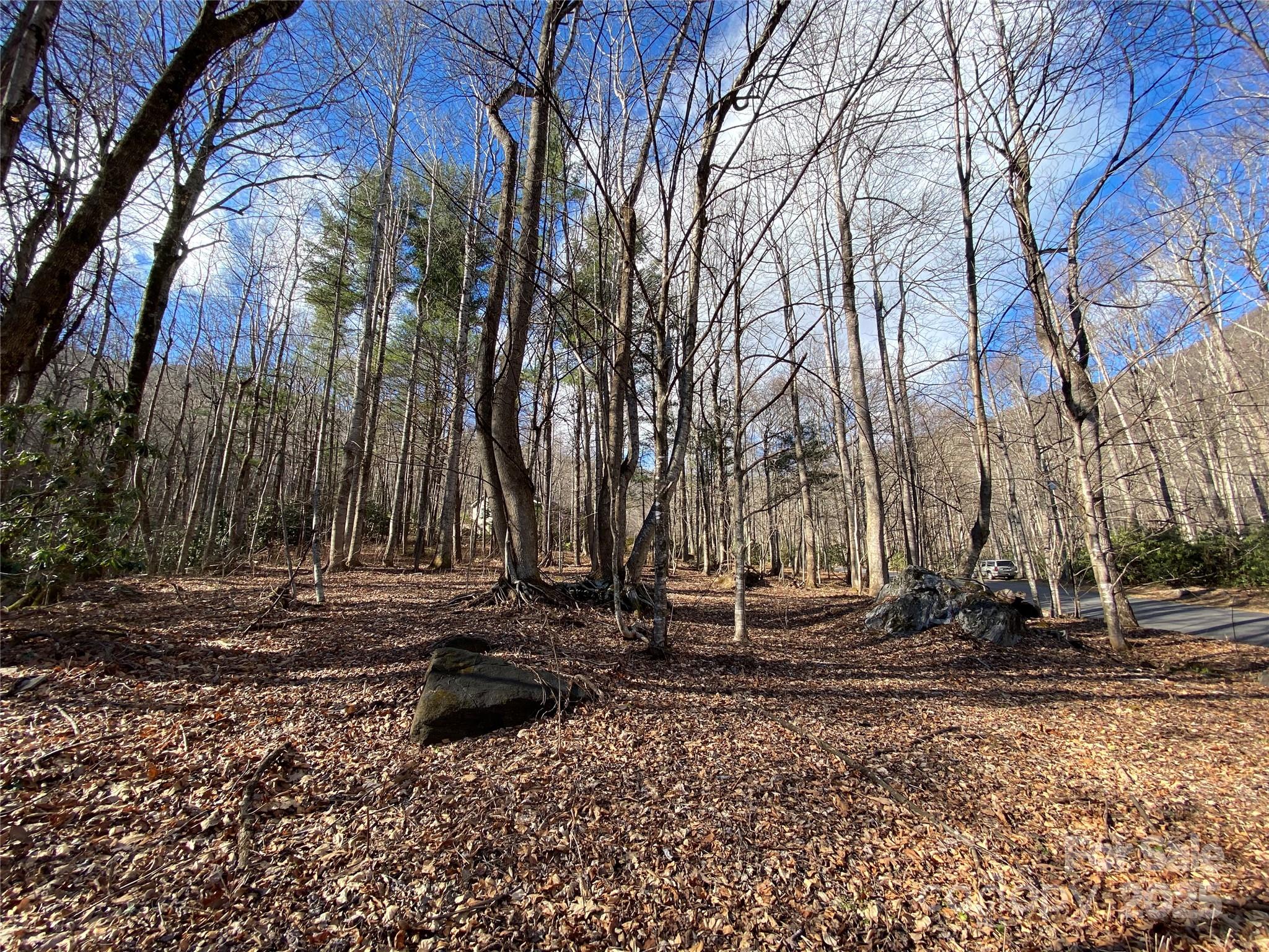 12 Laurel Branch Drive Property Photo 20