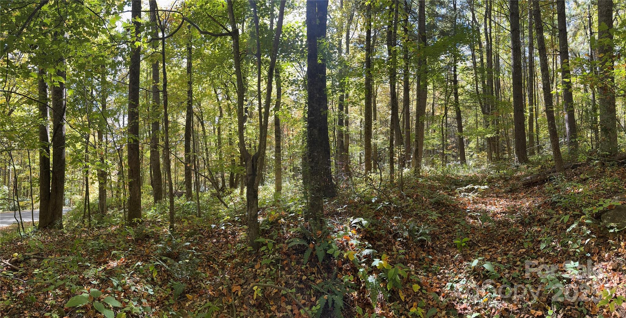 12 Laurel Branch Drive Property Photo 22