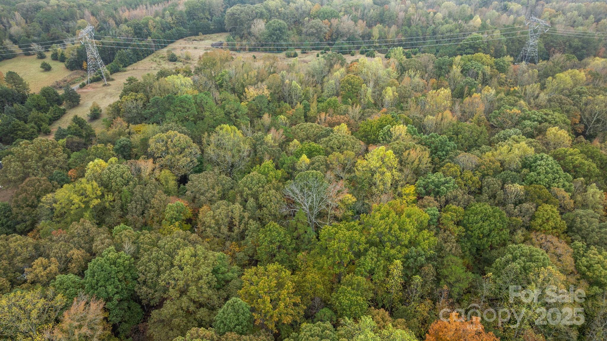 9915 Cherokee Trail Property Photo 42