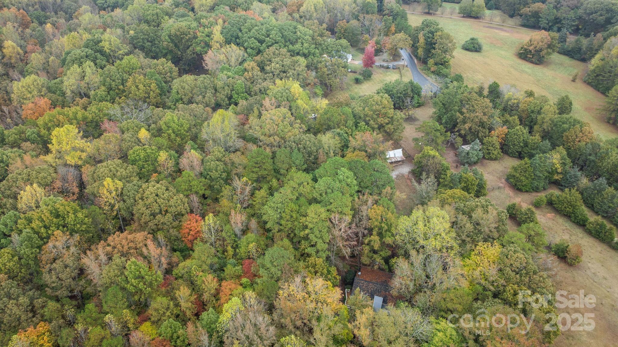 9915 Cherokee Trail Property Photo 43