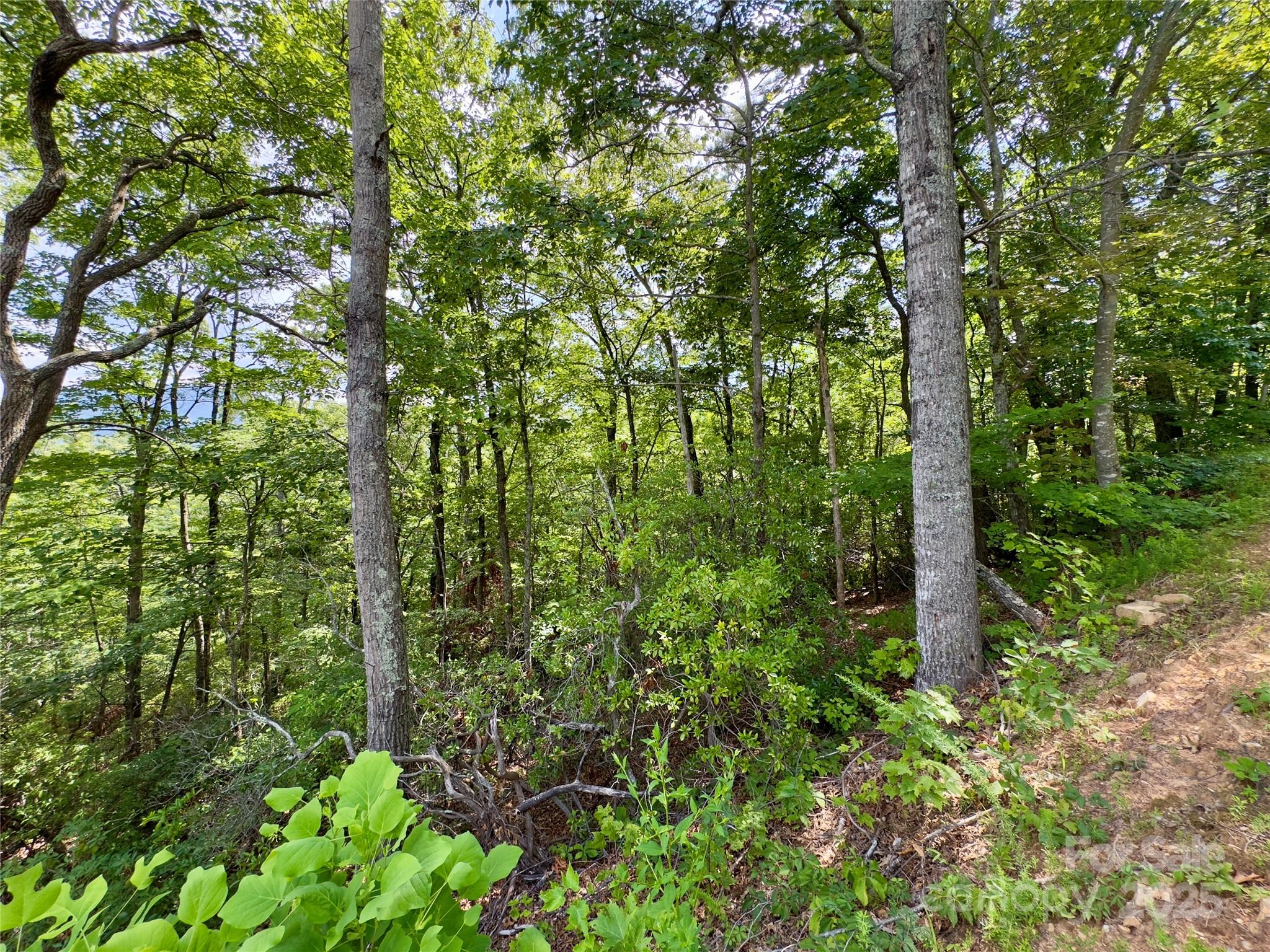 94 Galax Drive T-44 Property Photo 1