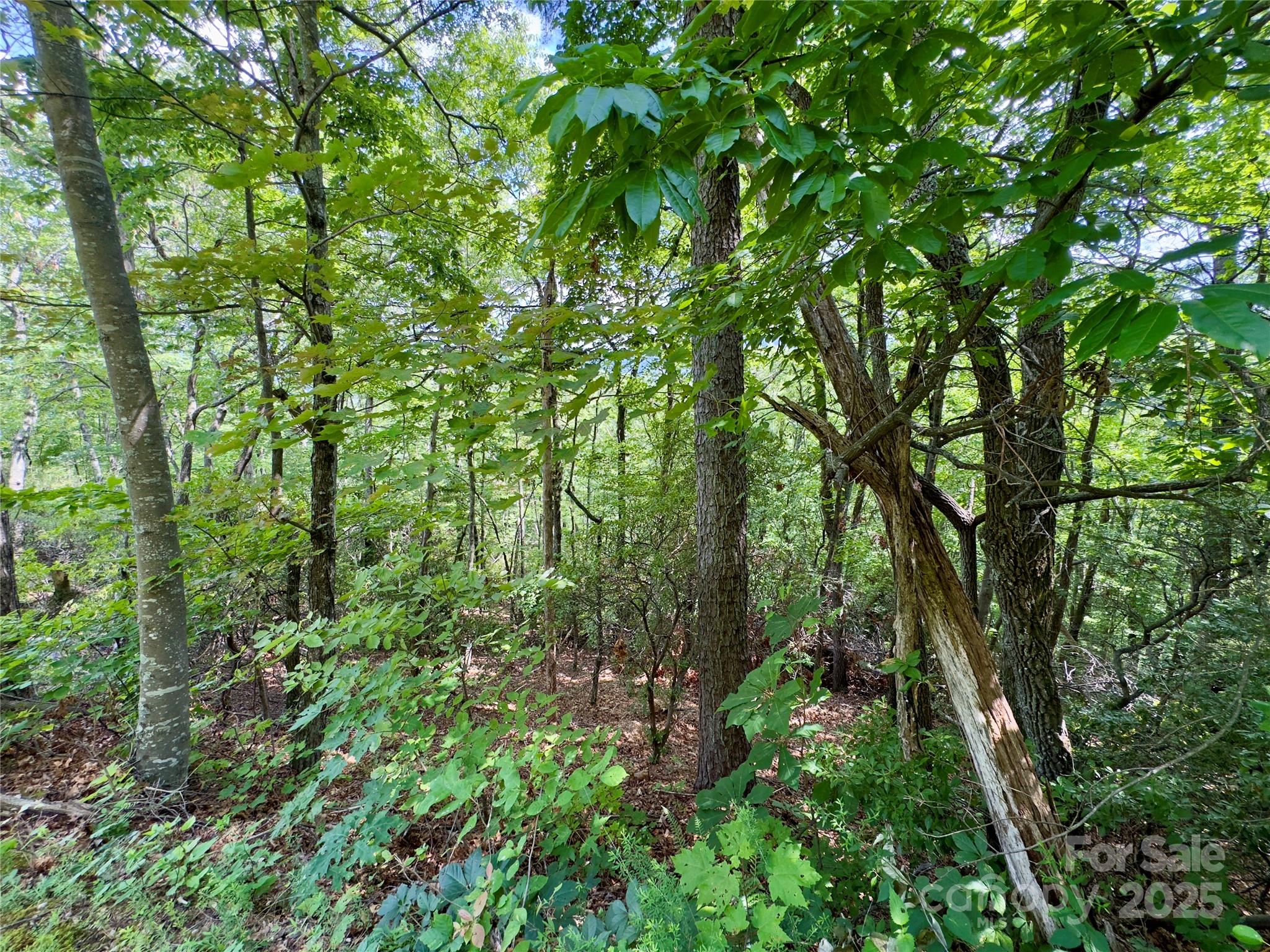 94 Galax Drive T-44 Property Photo 3