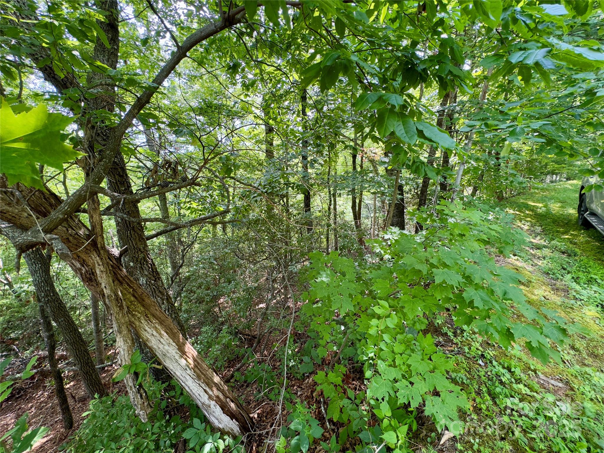 94 Galax Drive T-44 Property Photo 5