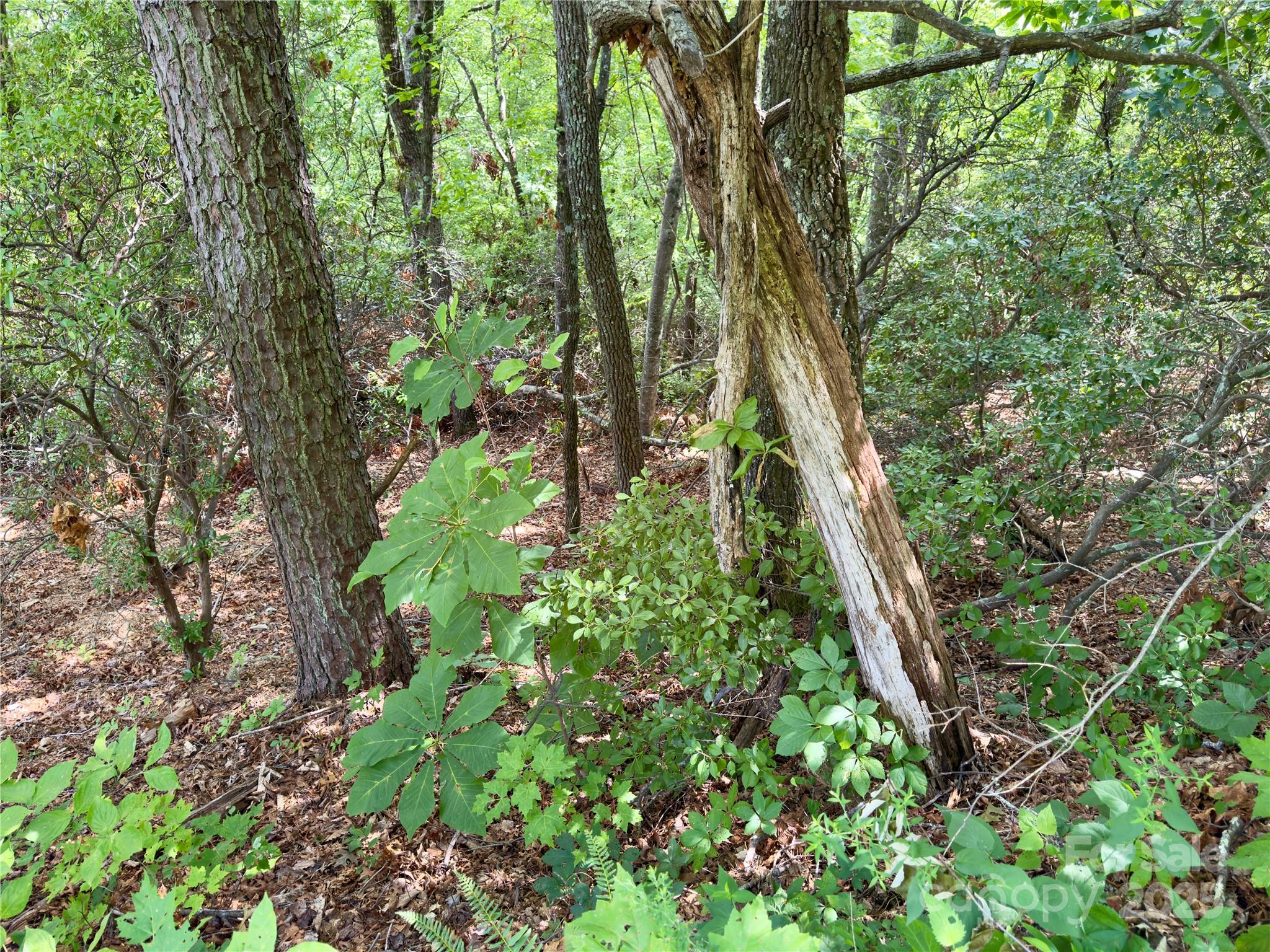 94 Galax Drive T-44 Property Photo 6