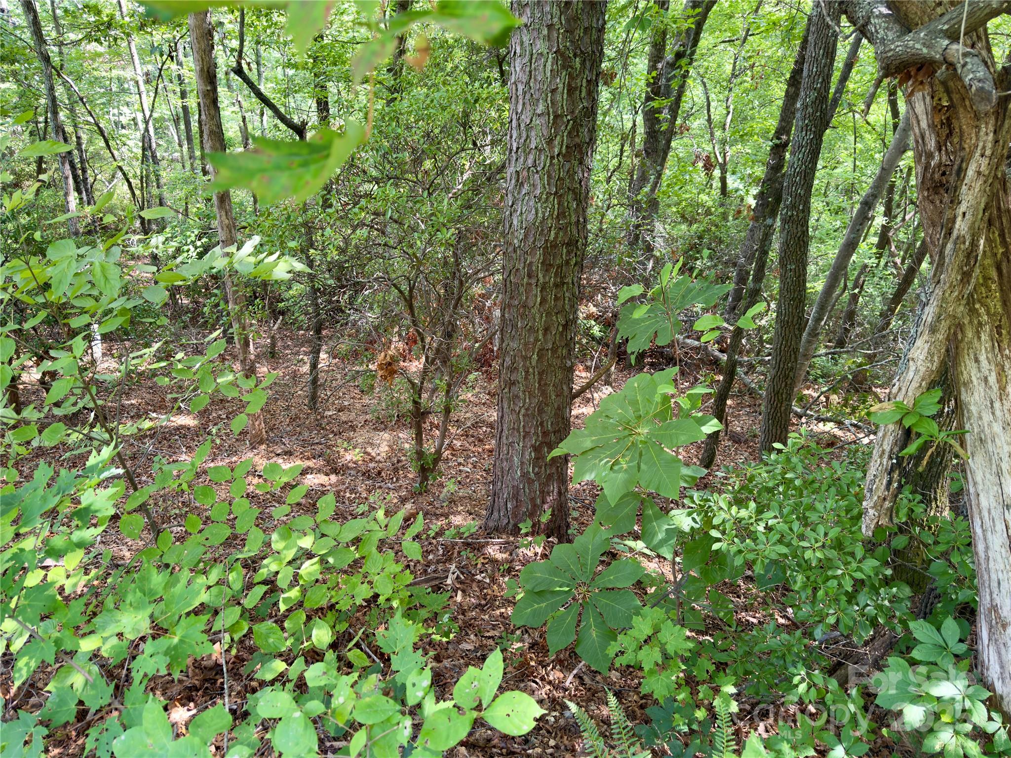 94 Galax Drive T-44 Property Photo 7