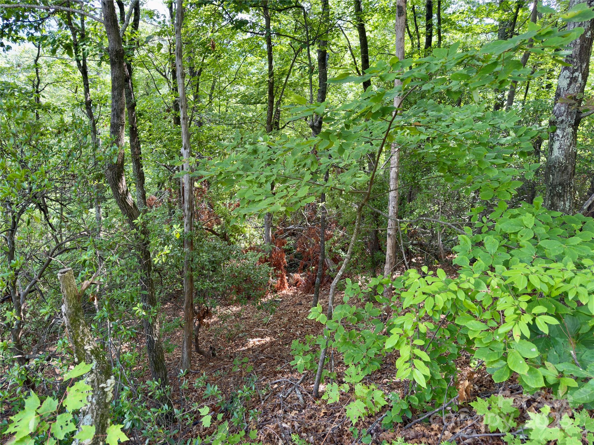 94 Galax Drive T-44 Property Photo 8