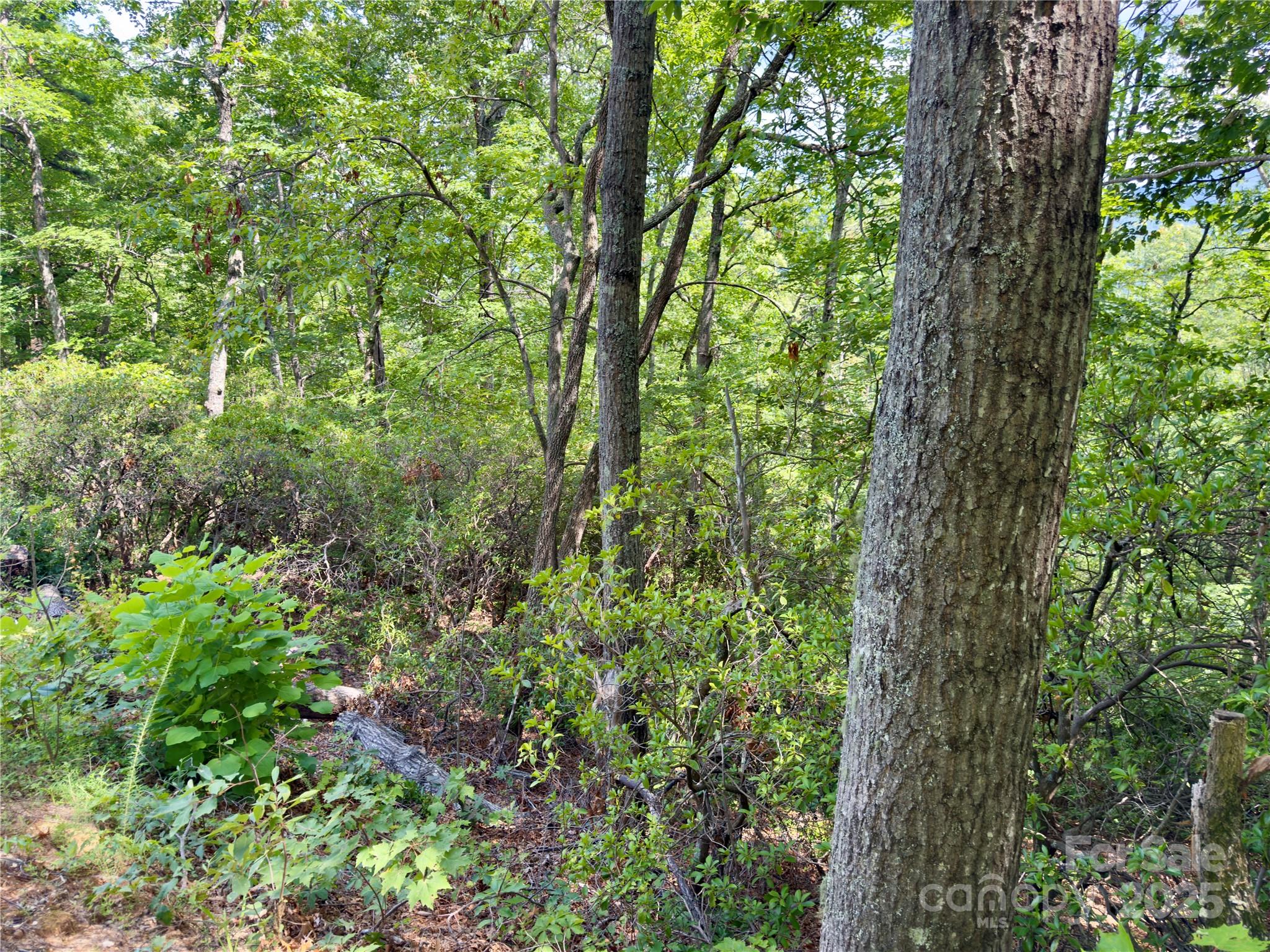 94 Galax Drive T-44 Property Photo 9