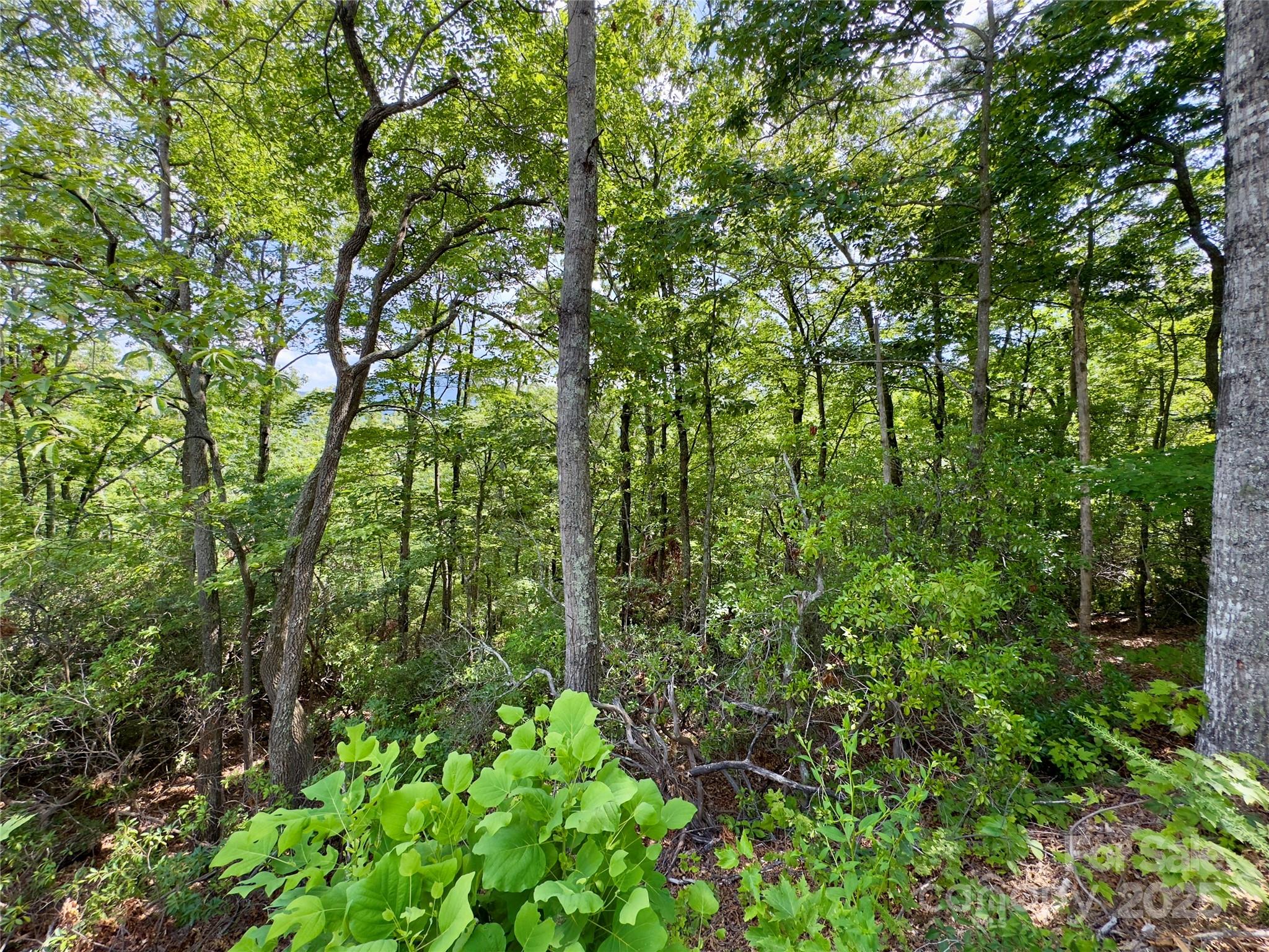 94 Galax Drive T-44 Property Photo 11