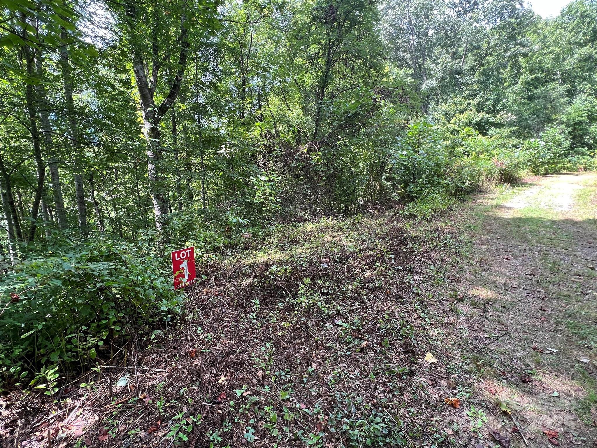 Lots 1-8 Erwin Lane Property Photo 14