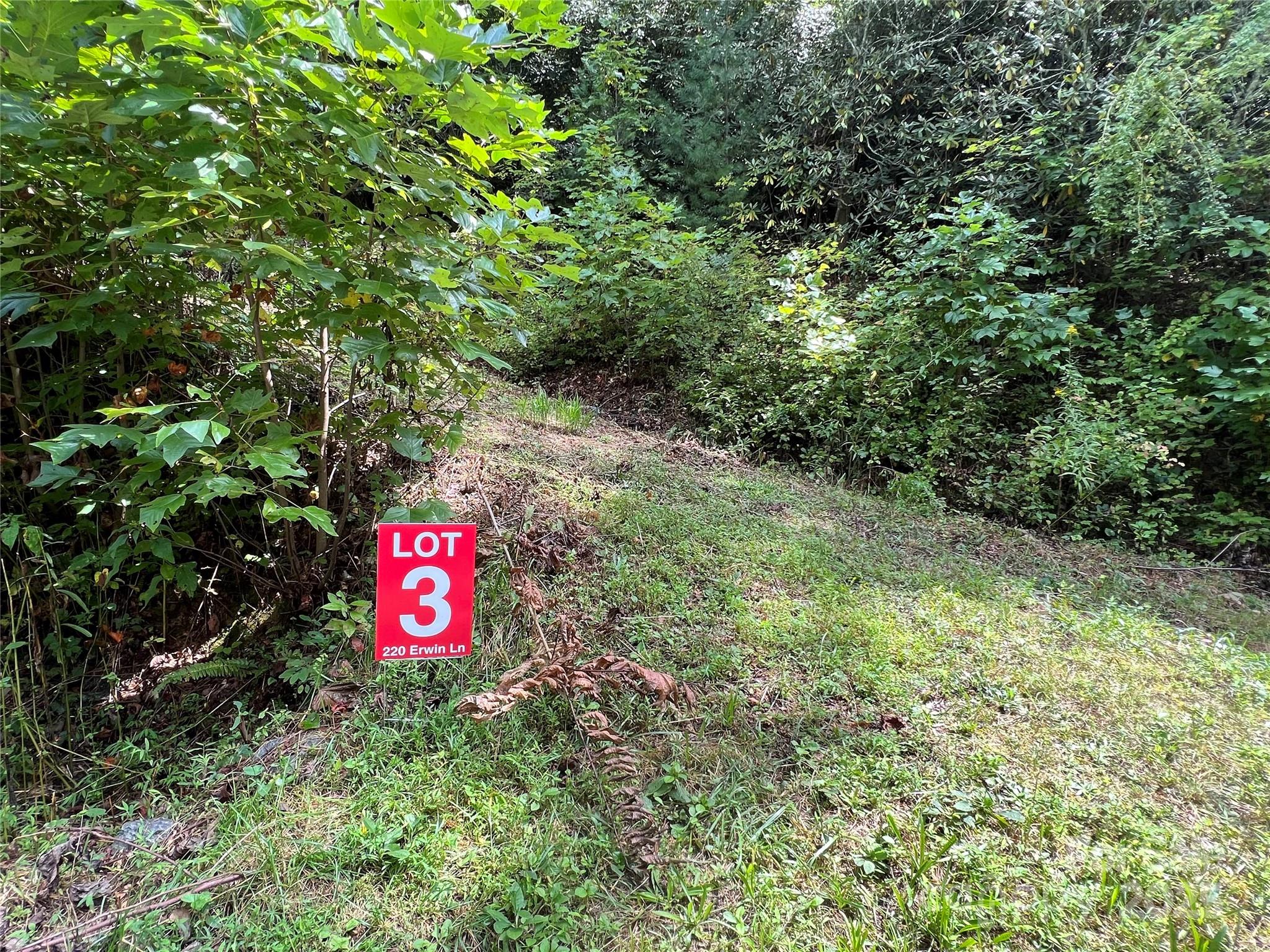 Lots 1-8 Erwin Lane Property Photo 16