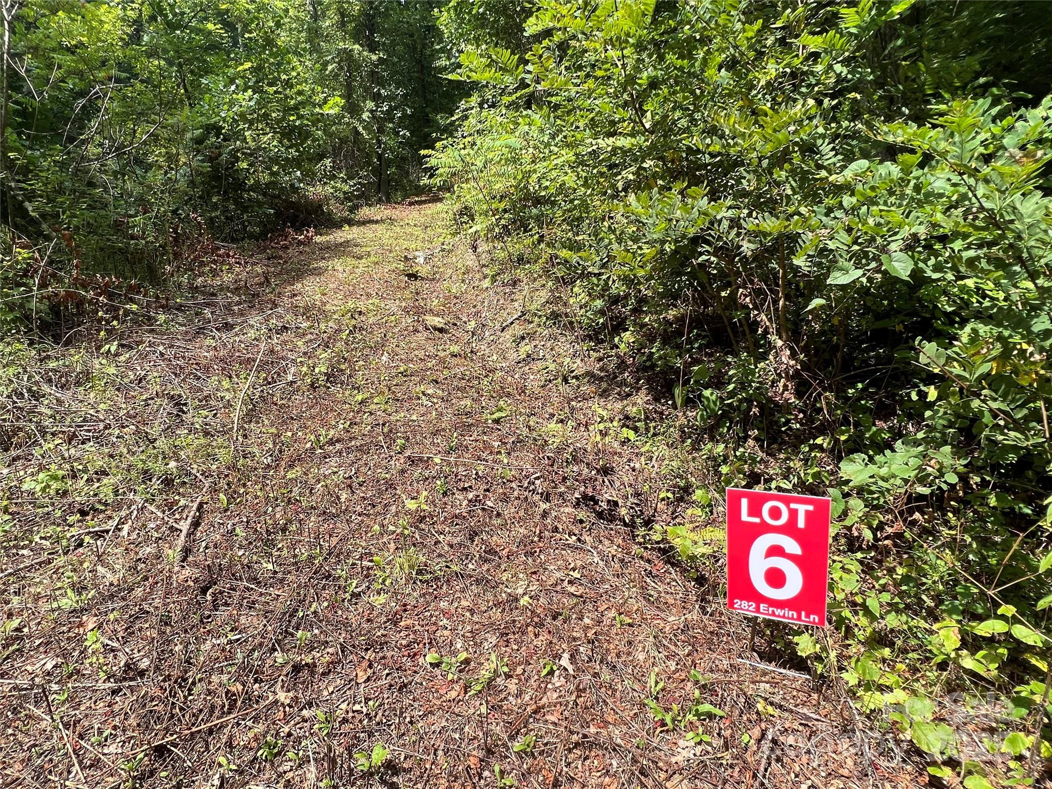 Lots 1-8 Erwin Lane Property Photo 19