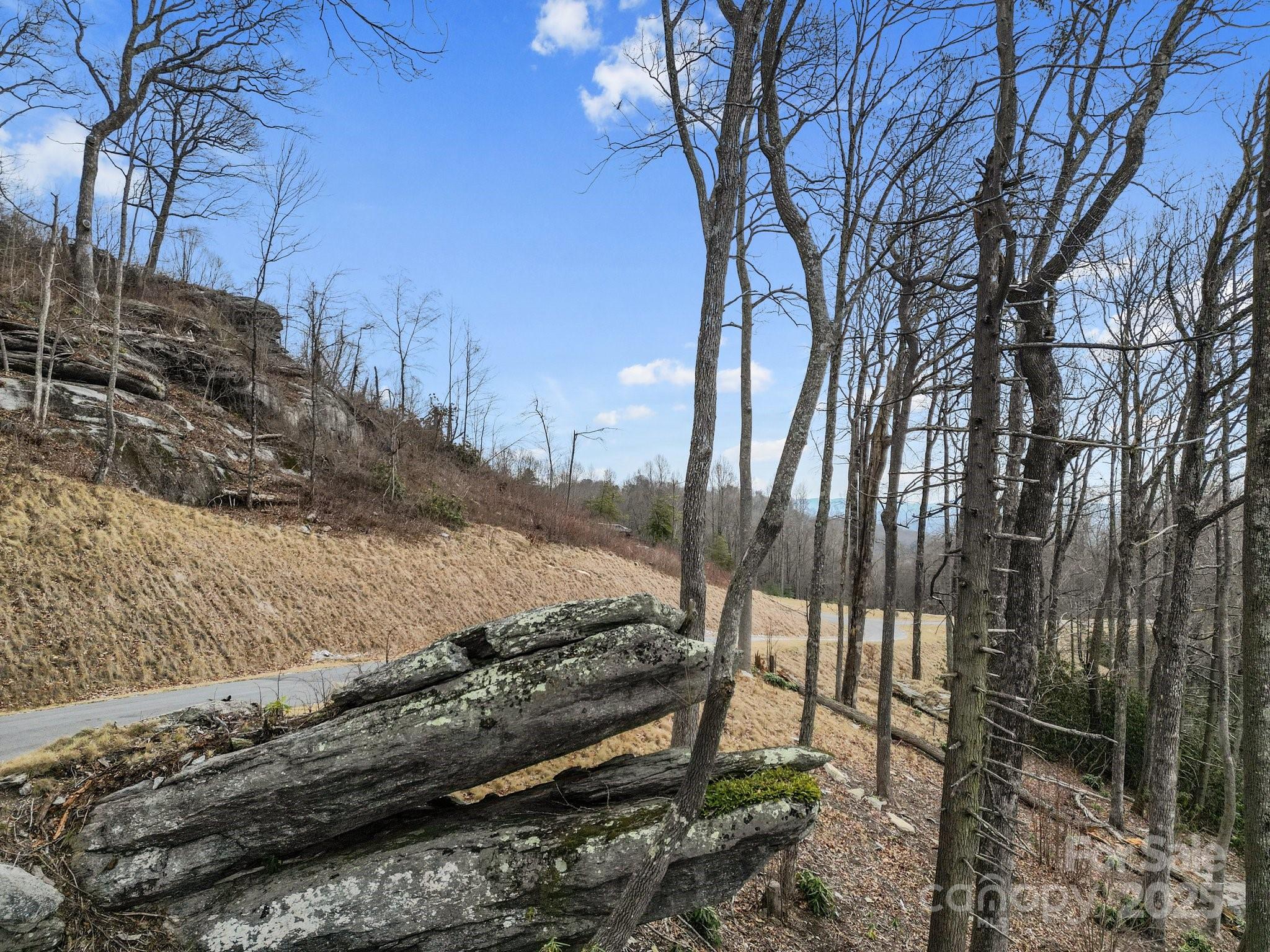 Lot 65 Featherstone Drive 65 Property Photo 3