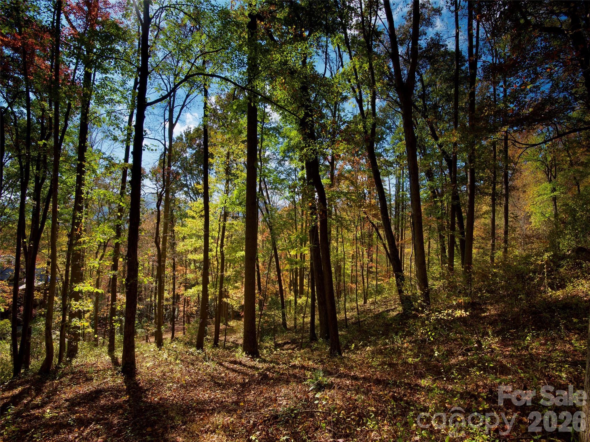 841 Blackthorne Lane Property Photo 8