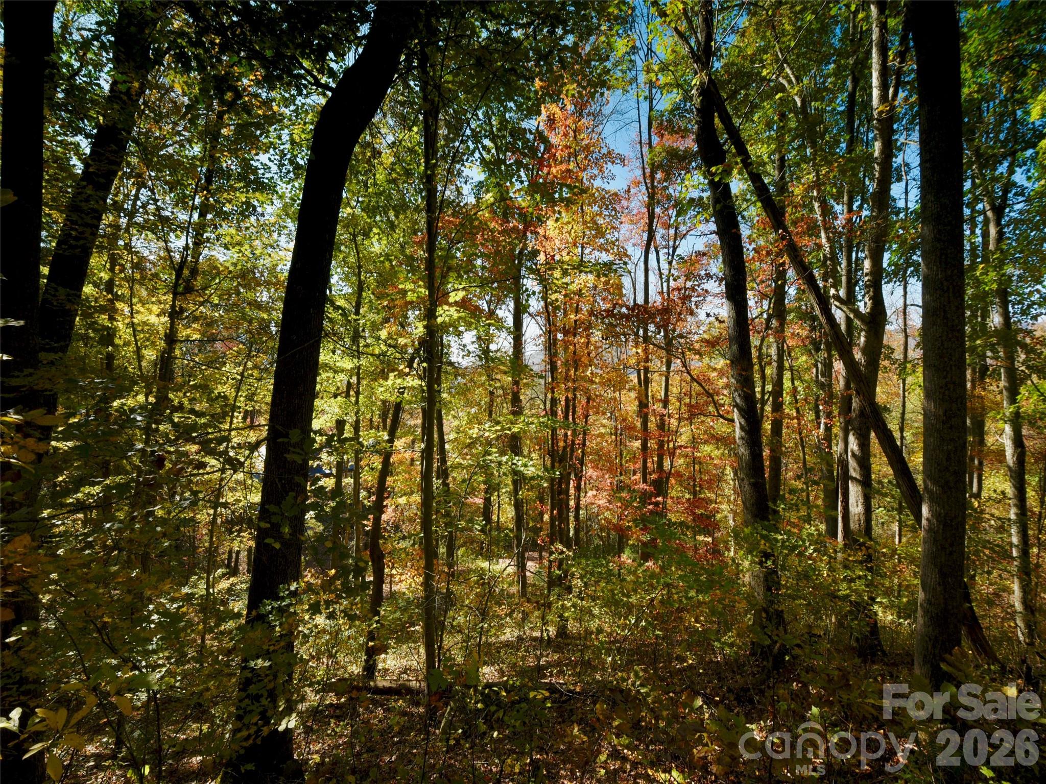 841 Blackthorne Lane Property Photo 11
