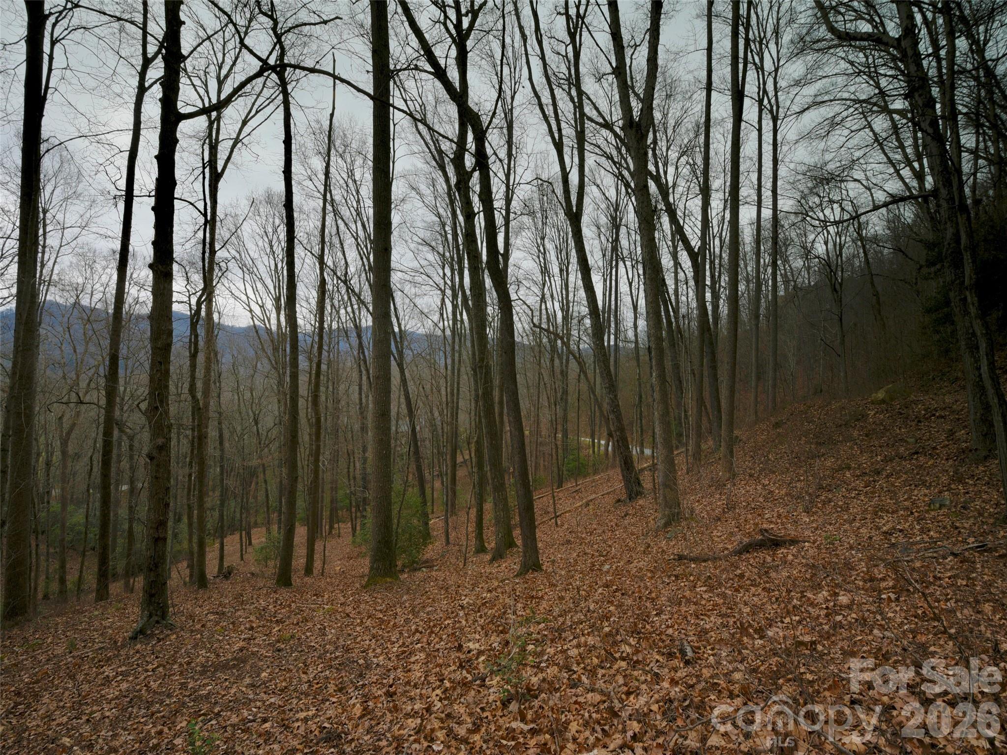 841 Blackthorne Lane Property Photo 12