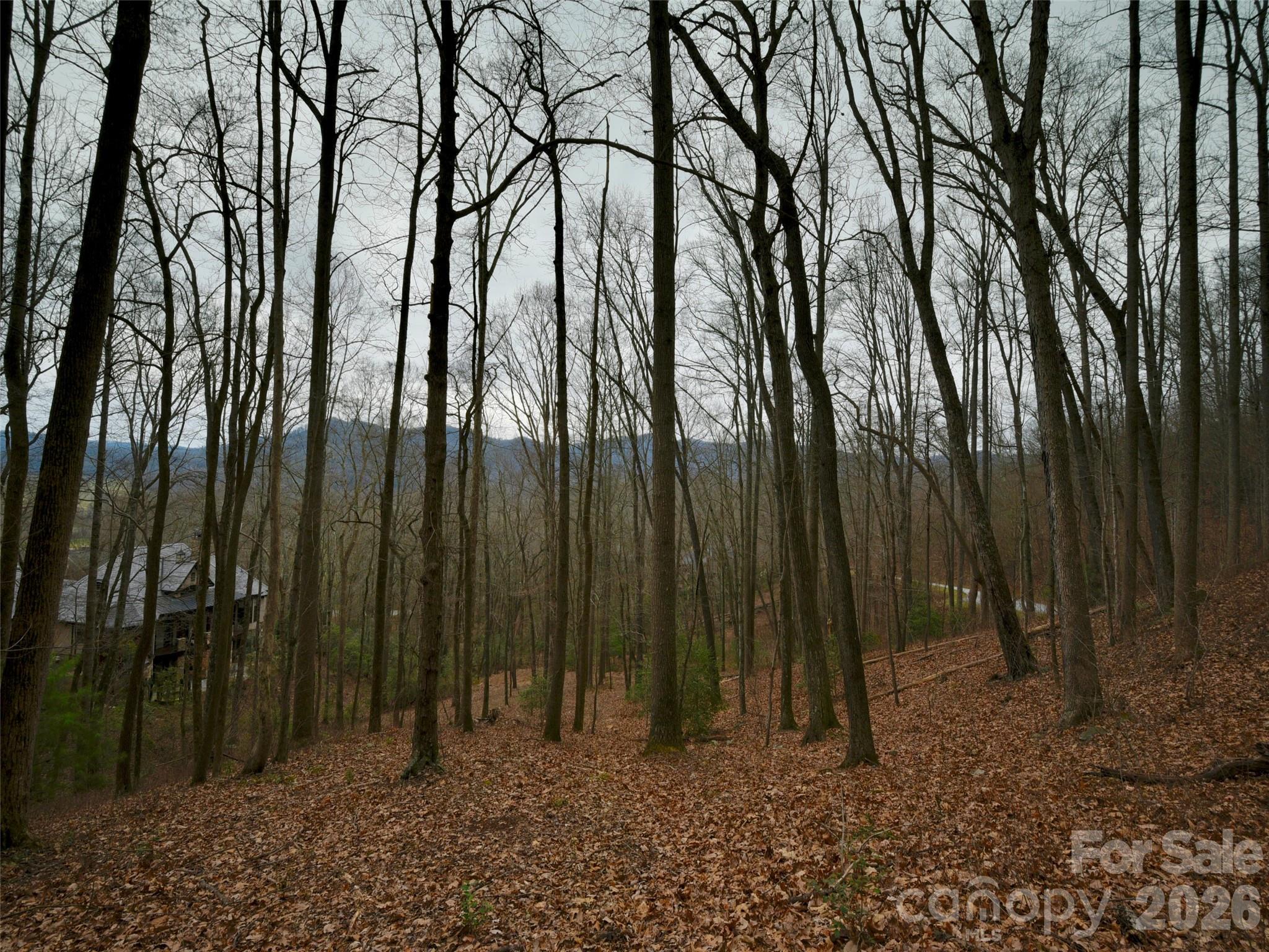 841 Blackthorne Lane Property Photo 13
