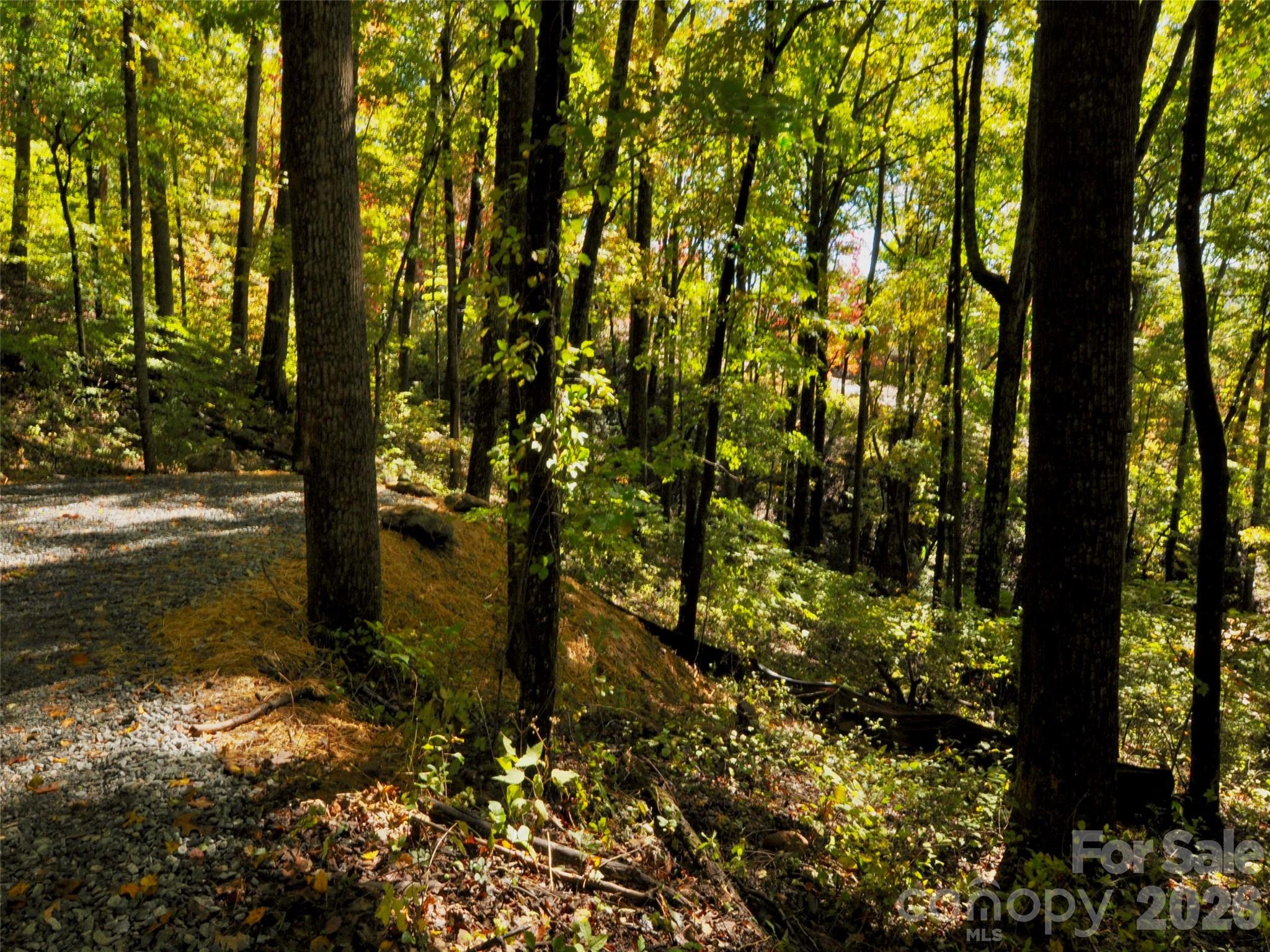 841 Blackthorne Lane Property Photo 15