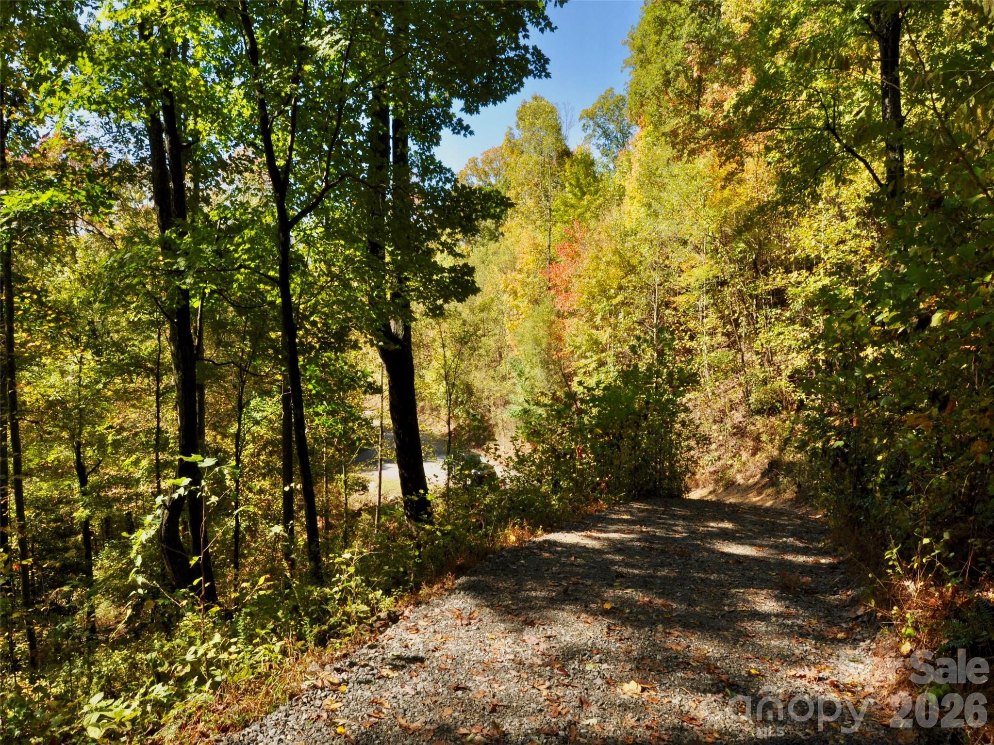 841 Blackthorne Lane Property Photo 16