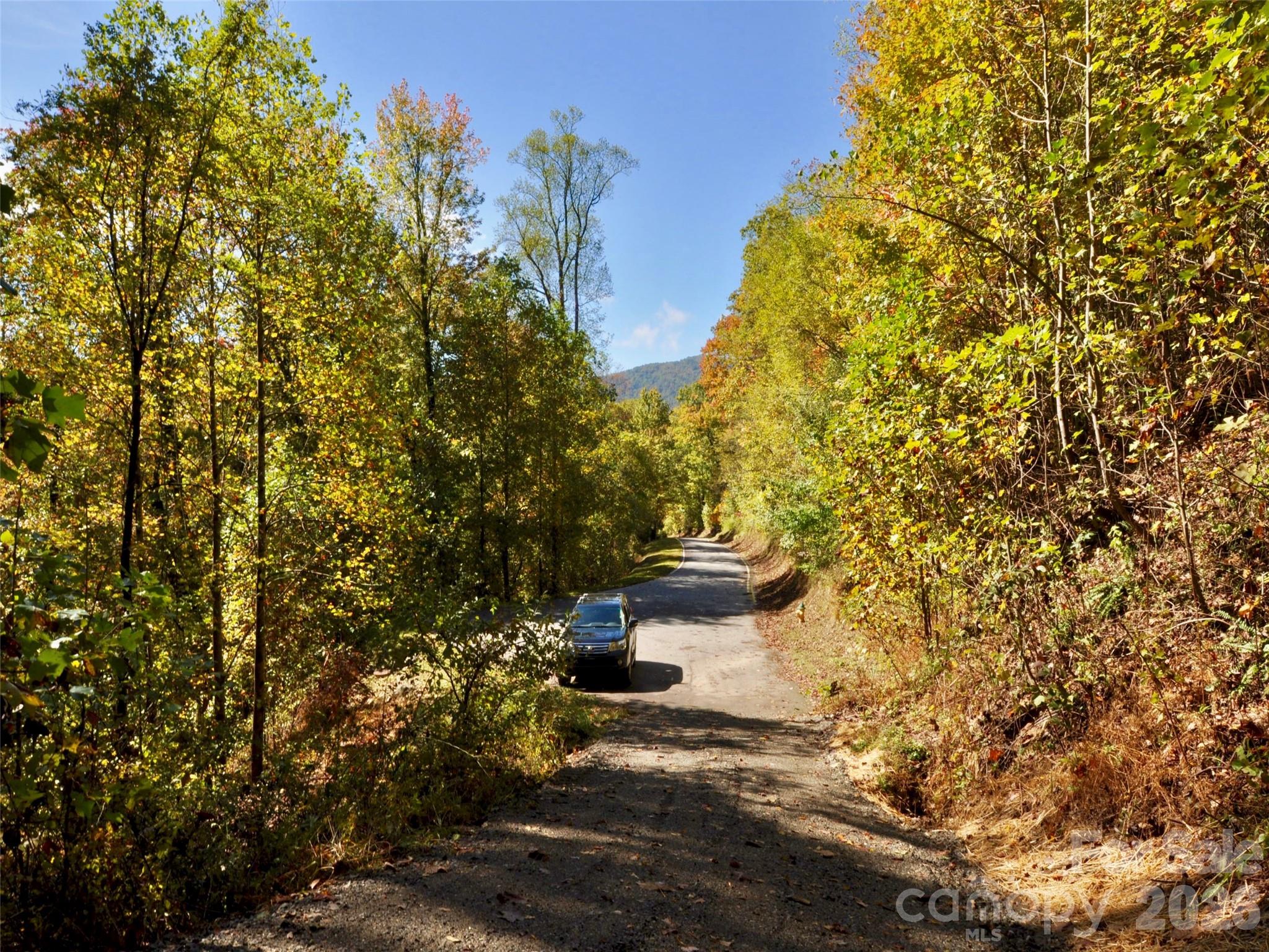 841 Blackthorne Lane Property Photo 17