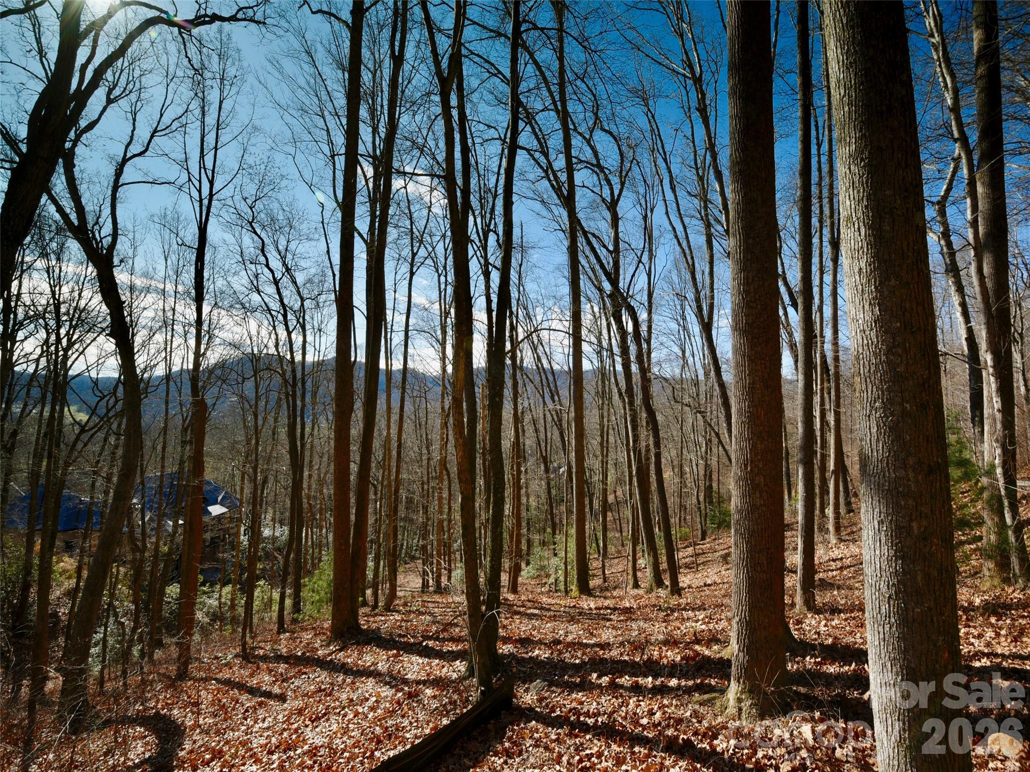 841 Blackthorne Lane Property Photo 18