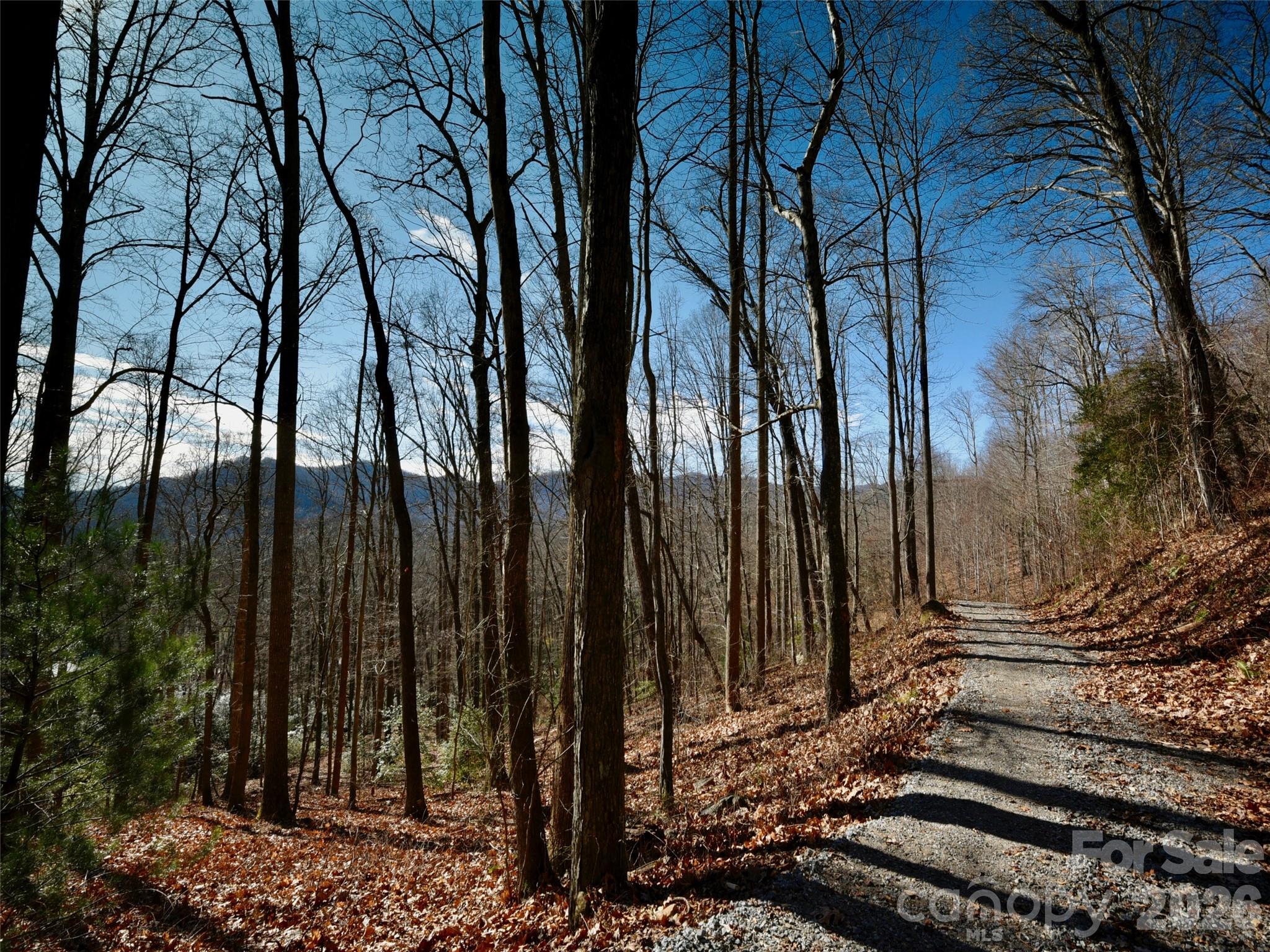 841 Blackthorne Lane Property Photo 19