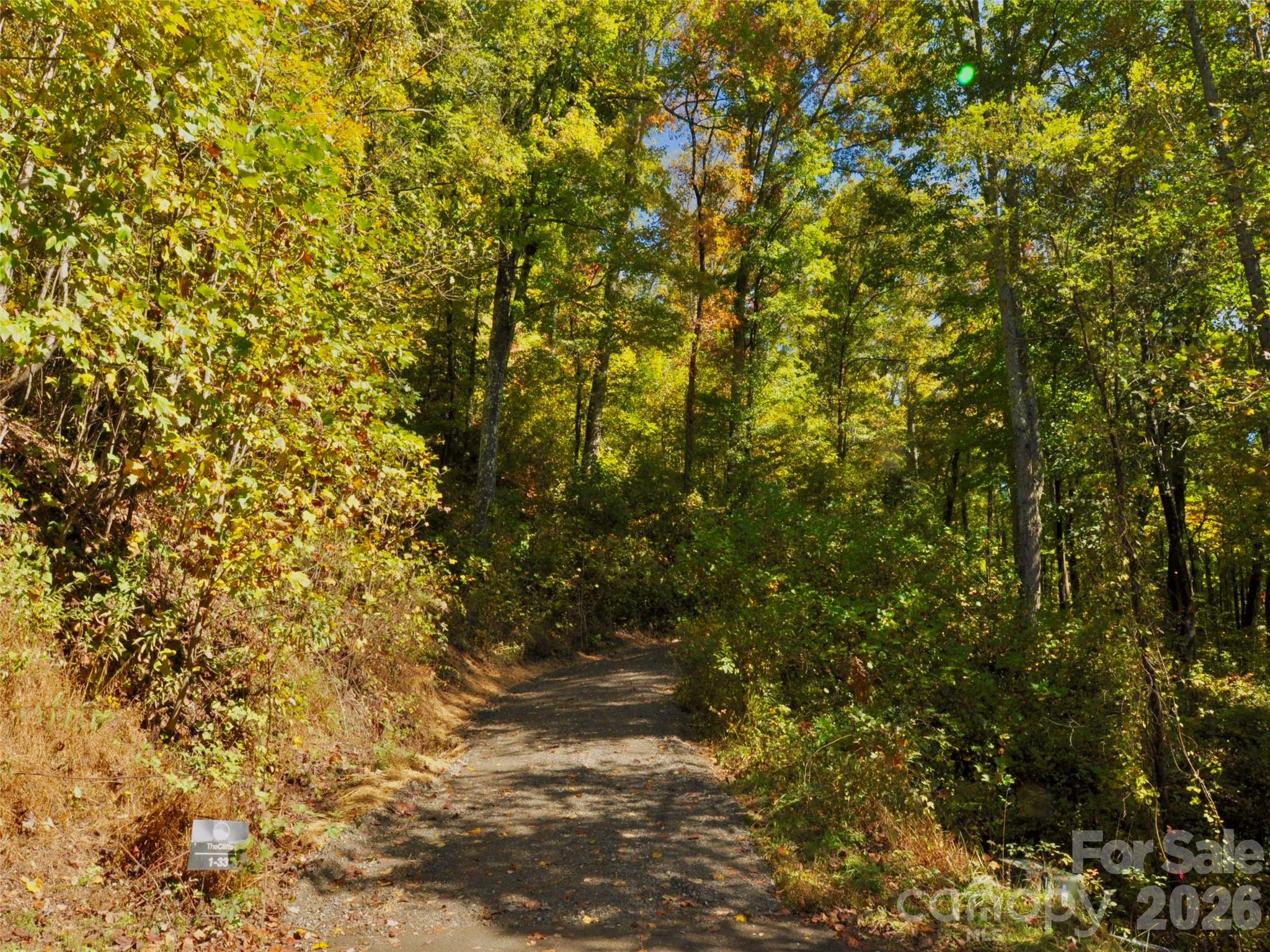 841 Blackthorne Lane Property Photo 20