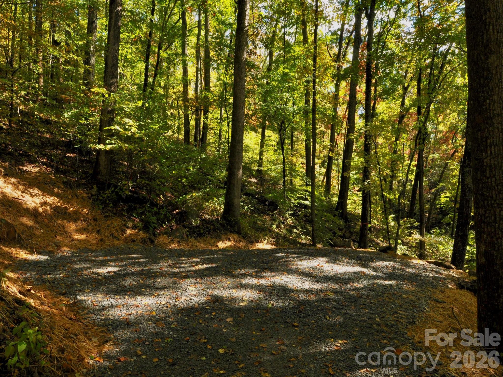 841 Blackthorne Lane Property Photo 22