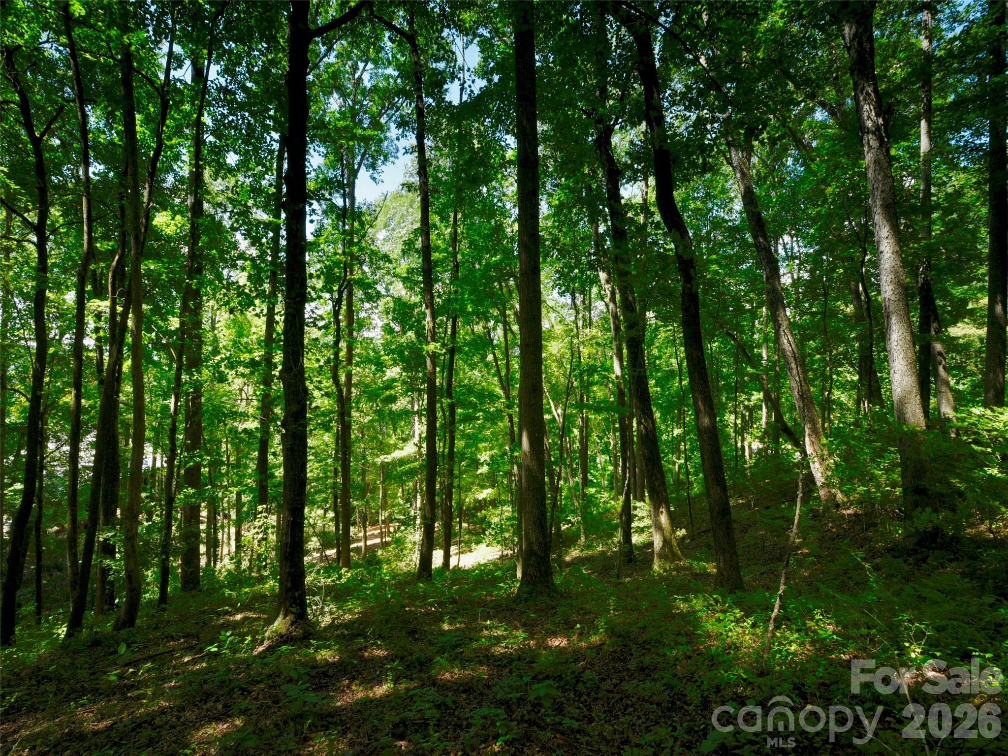 841 Blackthorne Lane Property Photo 23