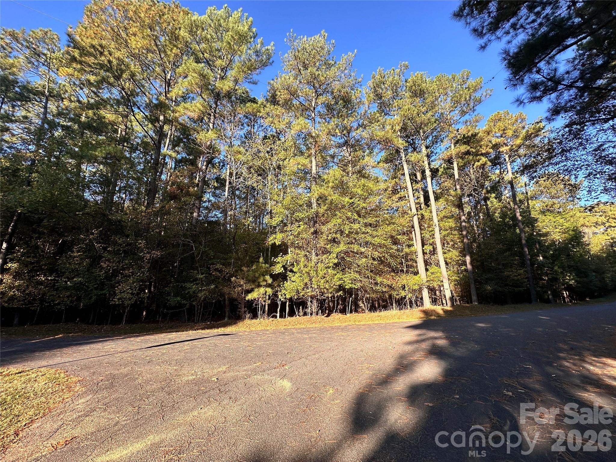 0000 Sand Tar Road Property Photo 10