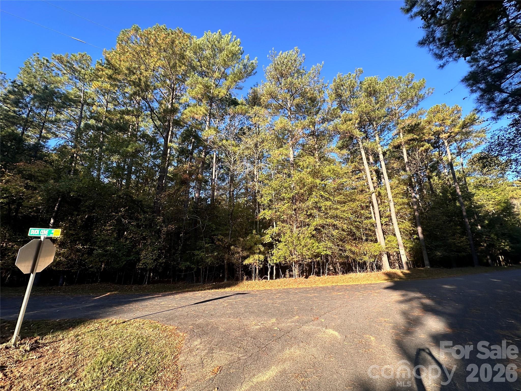 0000 Sand Tar Road Property Photo 11
