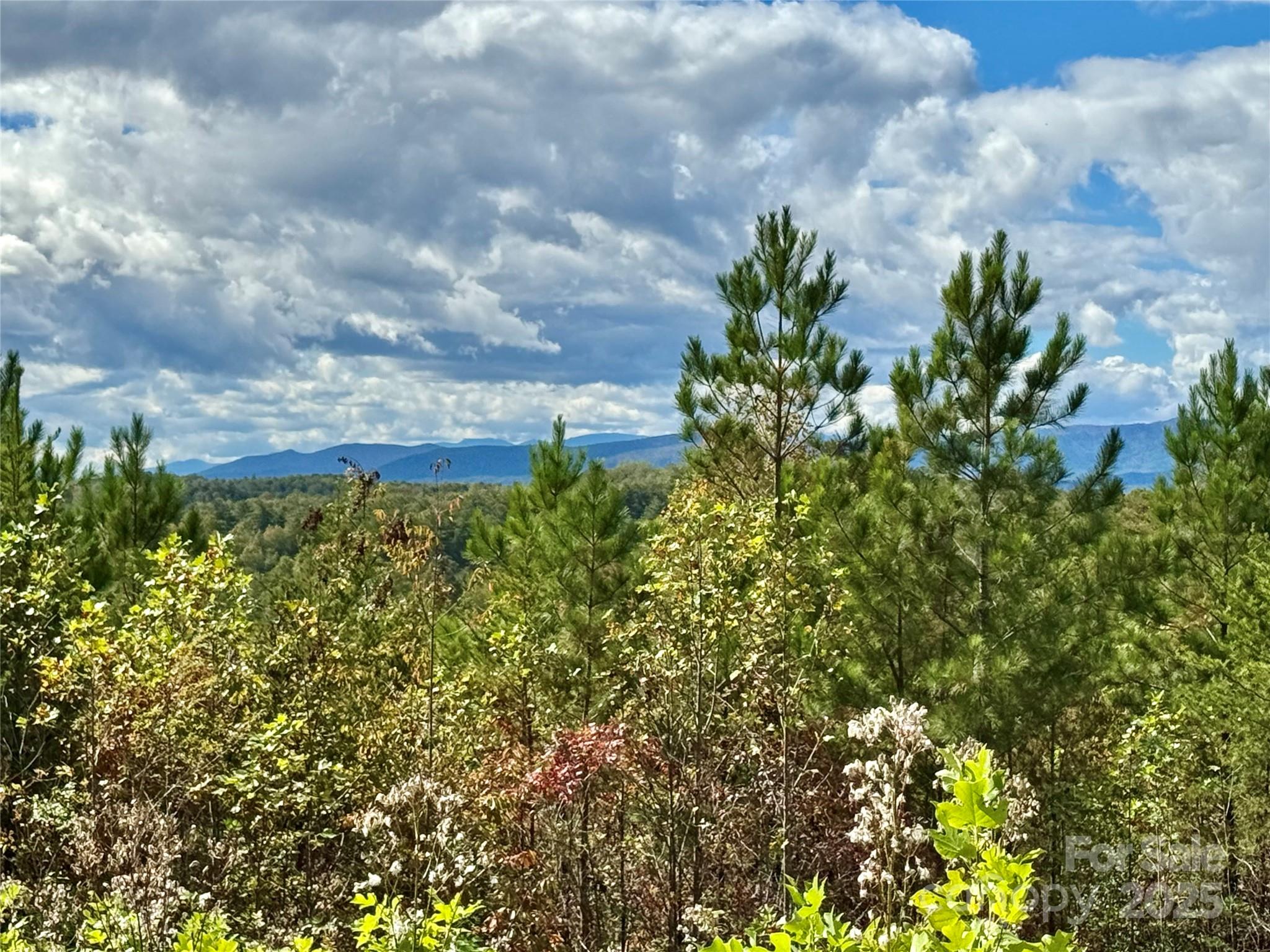 1.17 Acres 4805 Low Valley Way Lot 956 Property Photo 2