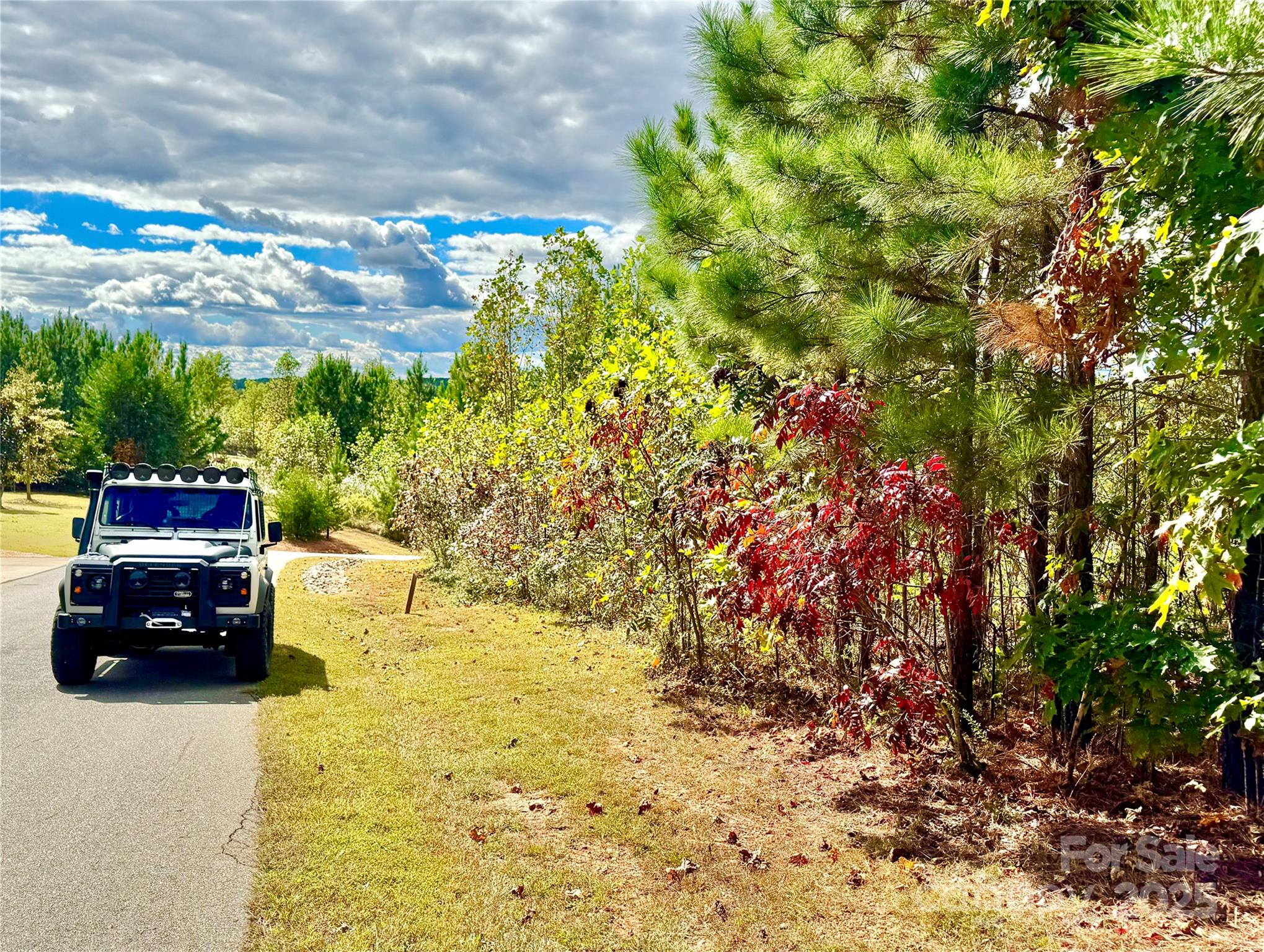 1.17 Acres 4805 Low Valley Way Lot 956 Property Photo 4