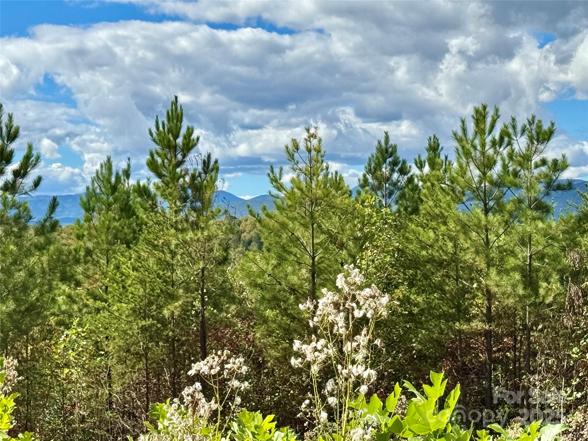 1.17 Acres 4805 Low Valley Way Lot 956 Property Photo 6