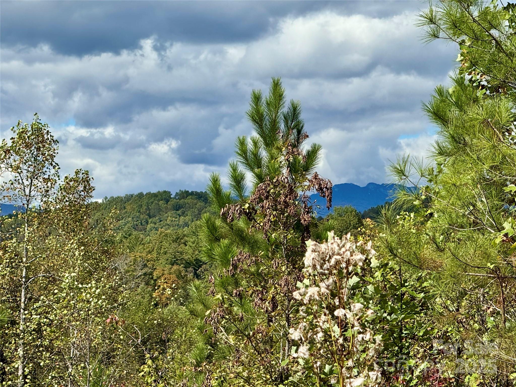 1.17 Acres 4805 Low Valley Way Lot 956 Property Photo 7